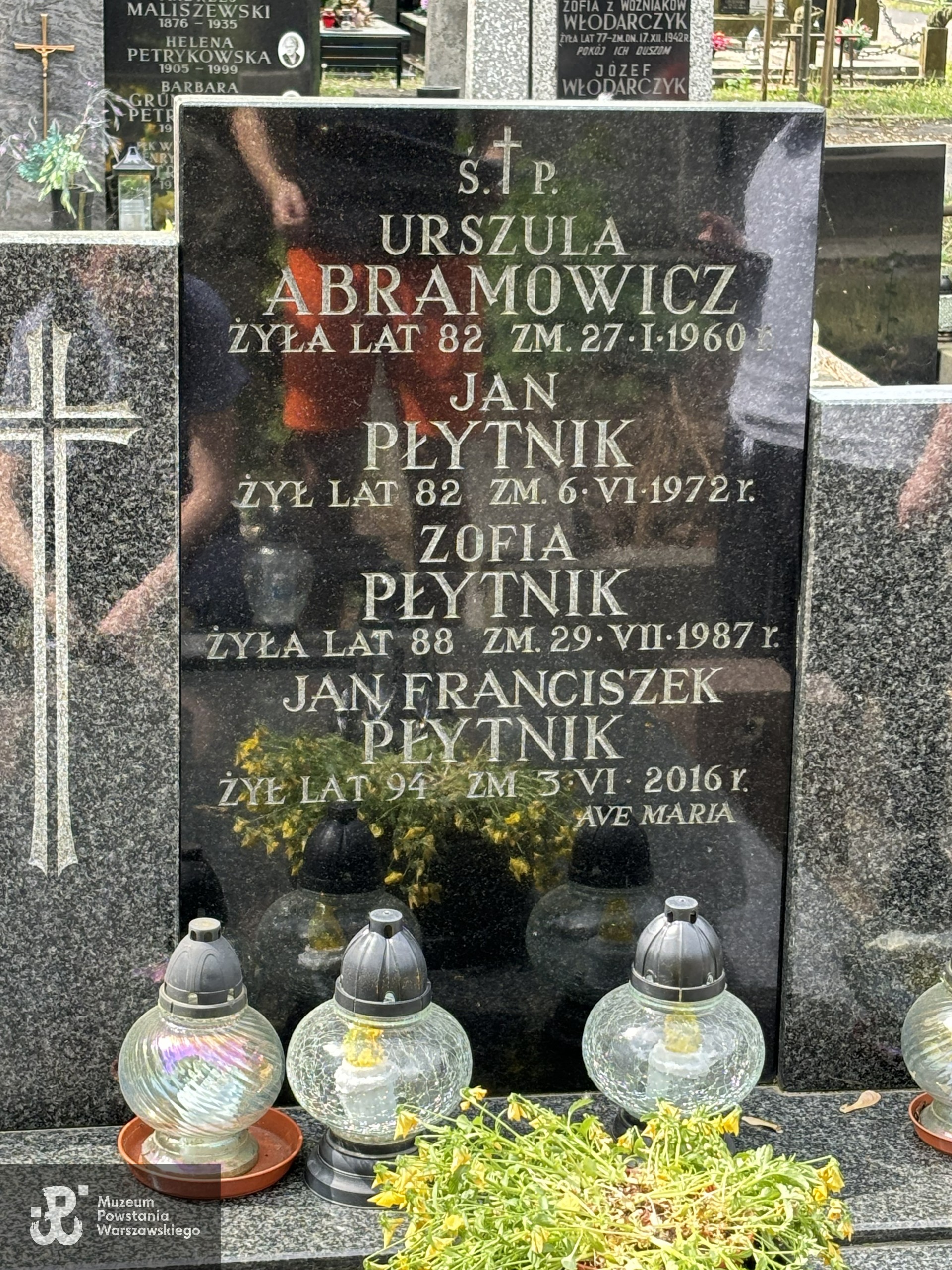 Źródło: VIII Liceum Ogólnokształcące im. Władysława IV w Warszawie.