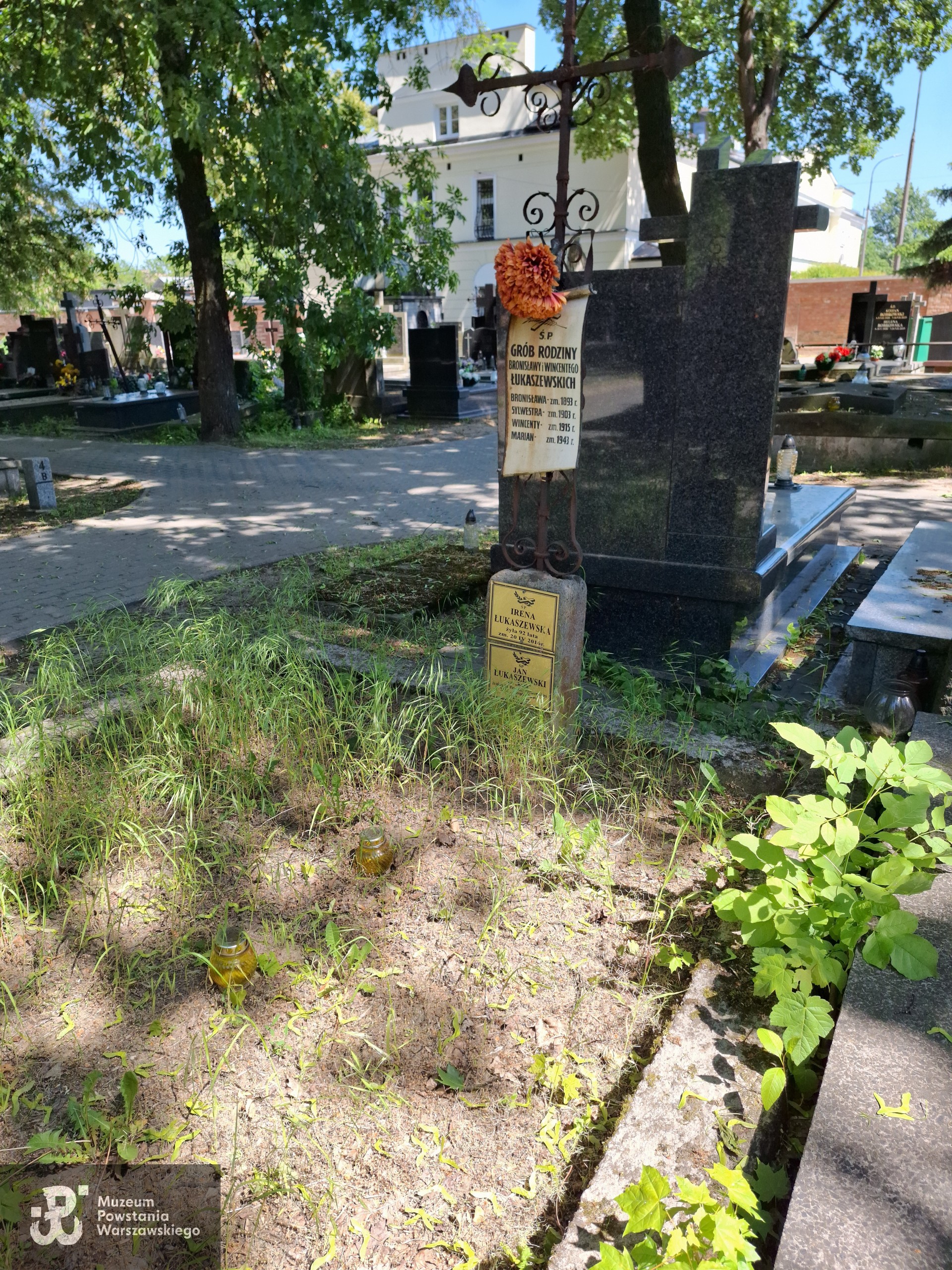 Źródło: VIII Liceum Ogólnokształcące im. Władysława IV w Warszawie.
