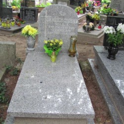 Źródło: https://gdynia.grobonet.com/grobonet/start.php?id=detale&idg=76264&inni=0&cinki=0&infokiosk=true [dostęp: 16.09.2025].