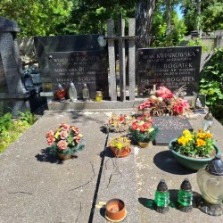 Źródło: VIII Liceum Ogólnokształcące im. Władysława IV w Warszawie.