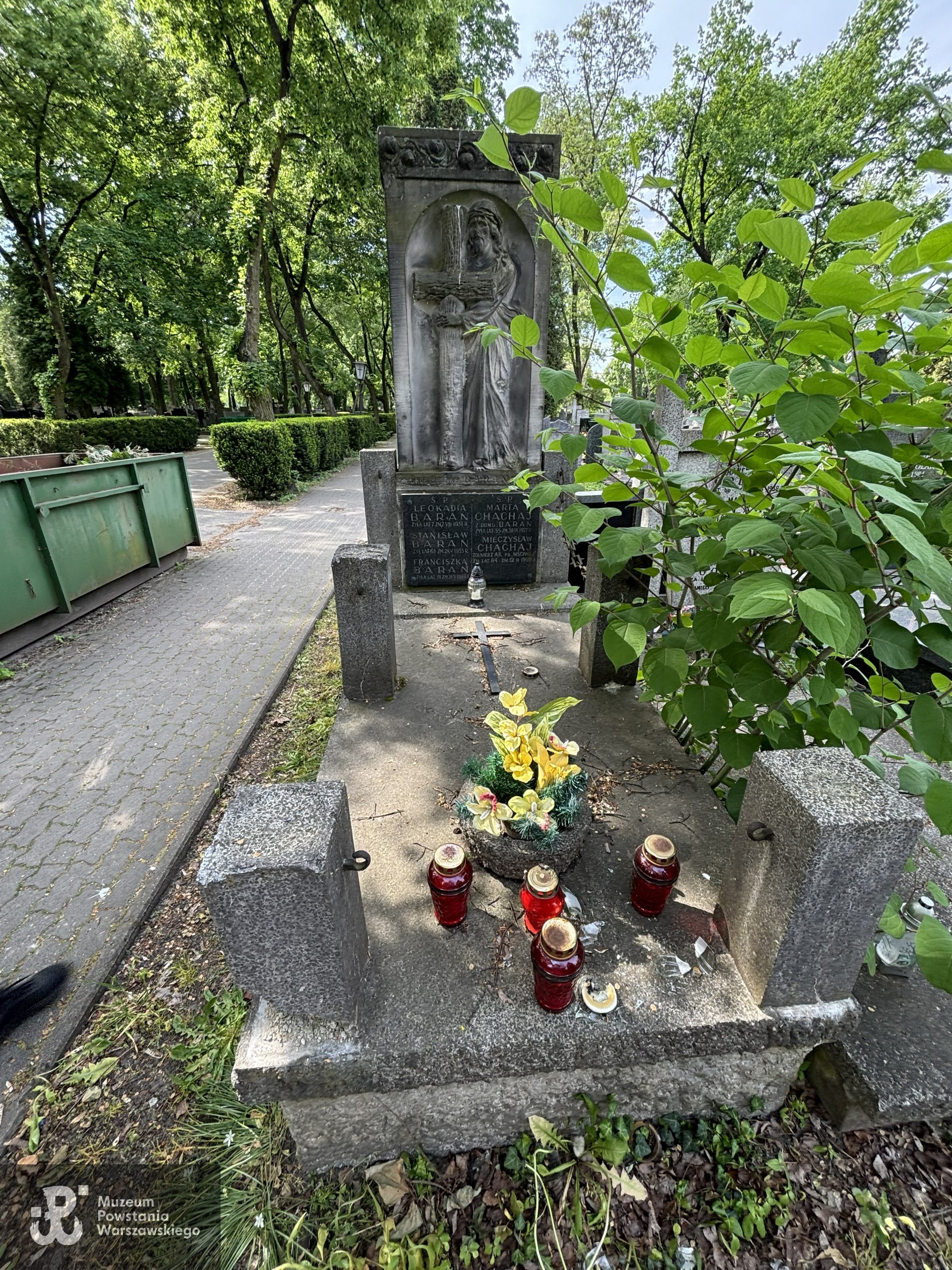 Źródło: VIII Liceum Ogólnokształcące im. Władysława IV w Warszawie.