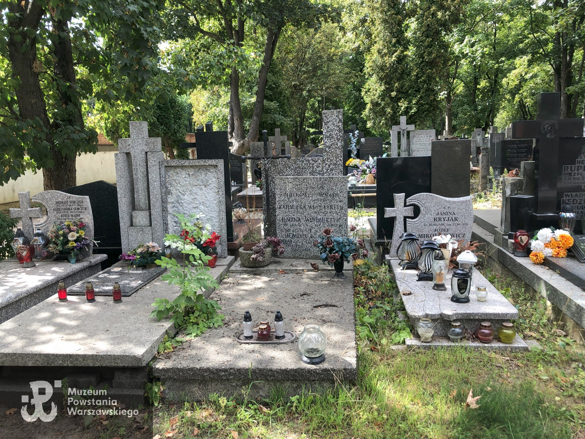 Źródło: Dorota Kotowska.