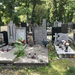 Źródło: Dorota Kotowska.