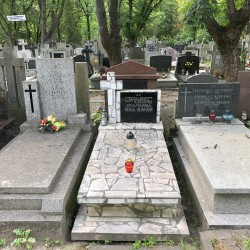 Źródło: Dorota Kotowska.