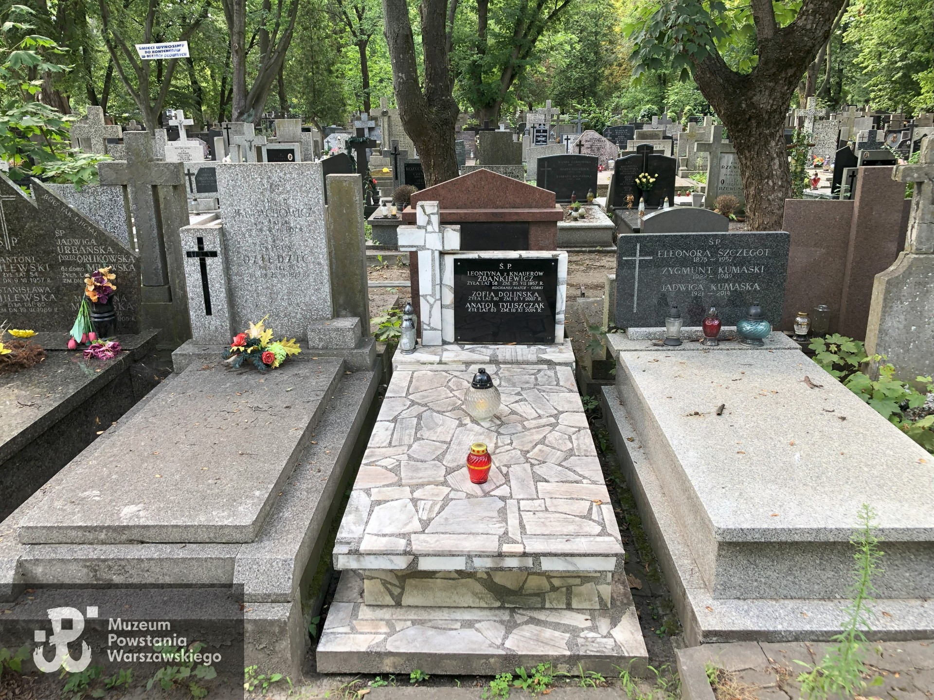 Źródło: Dorota Kotowska.