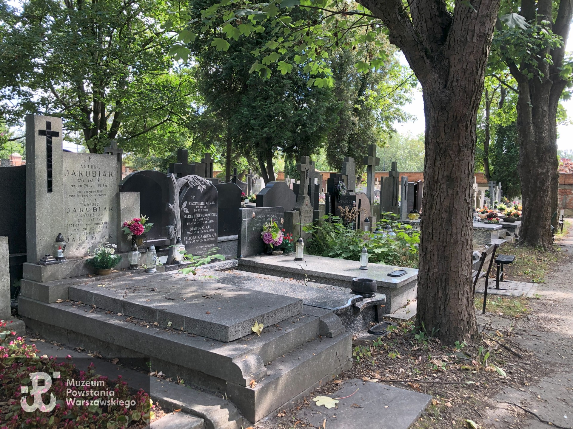 Źródło: Dorota Kotowska.