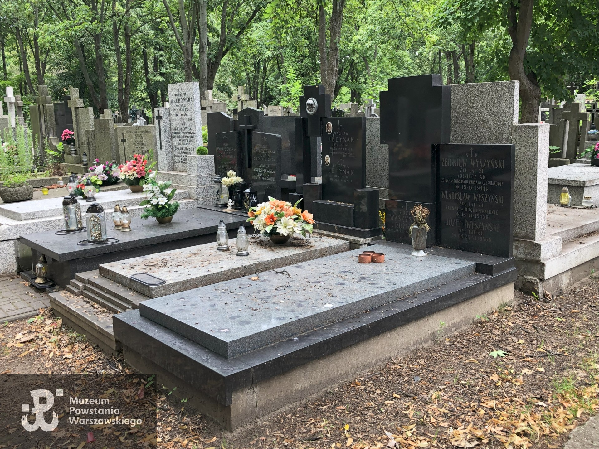 Źródło: Dorota Kotowska.