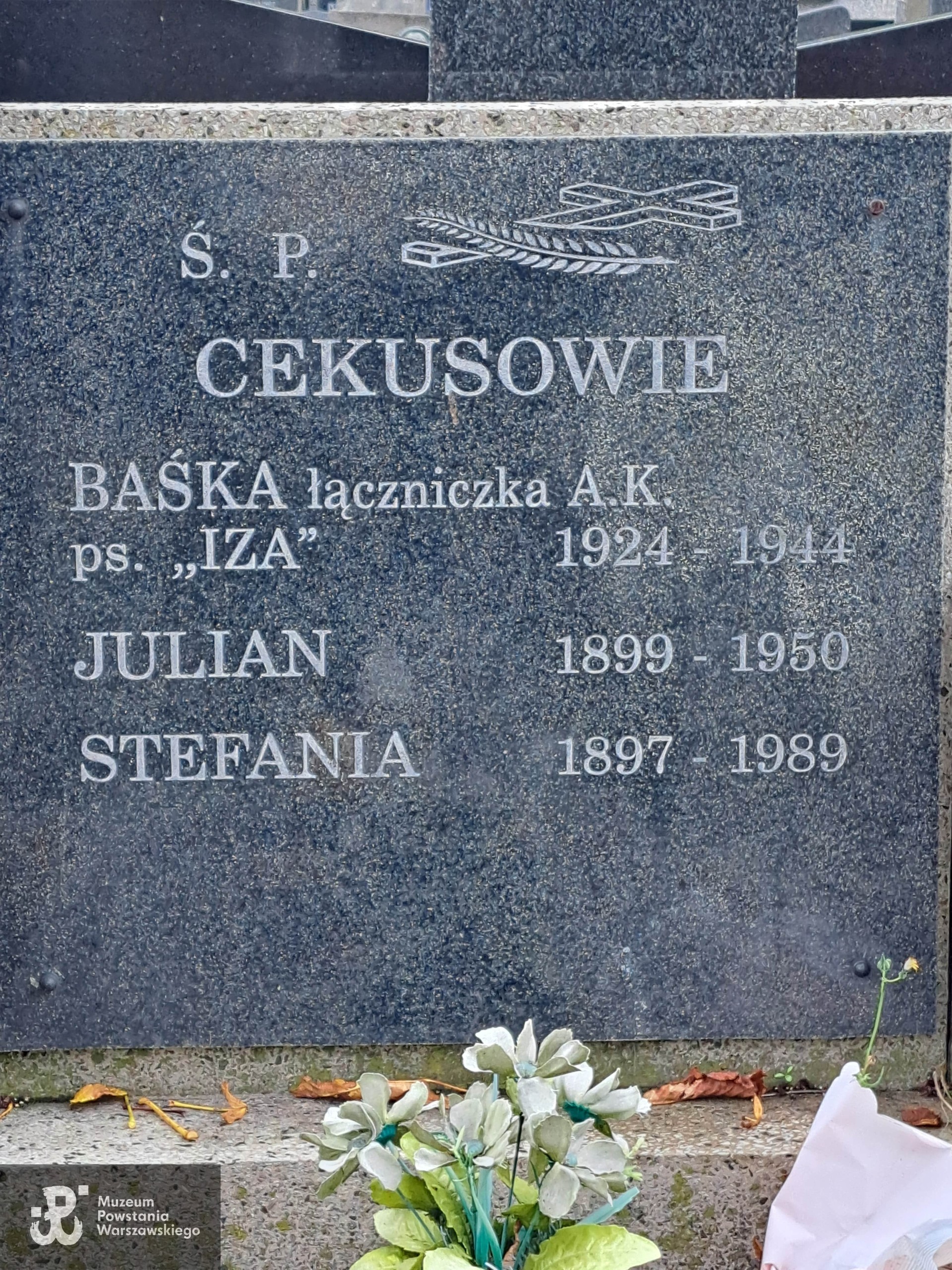 Źródło: Agnieszka Nowak.