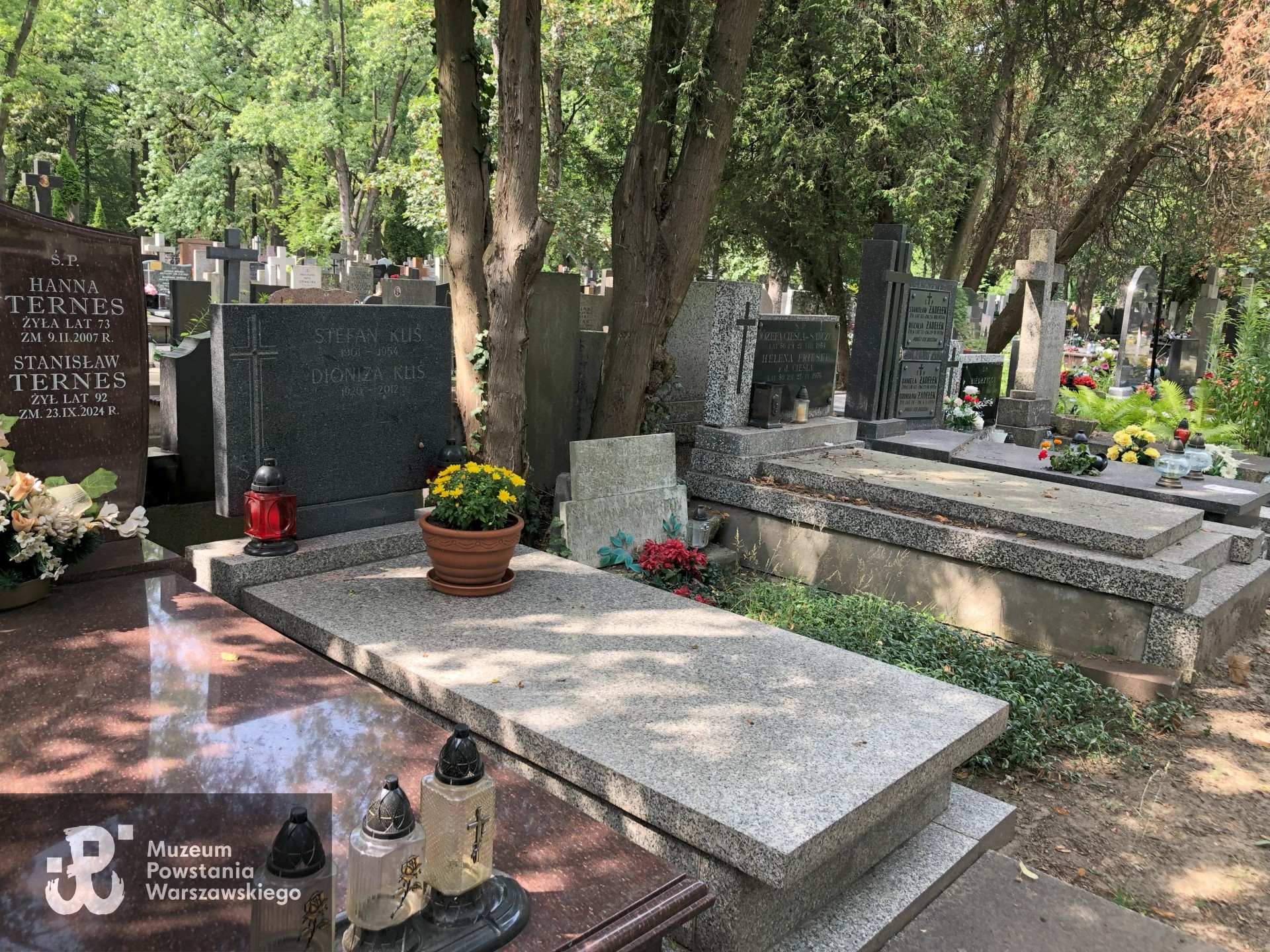 Źródło: Dorota Kotowska, Agnieszka Nowak.