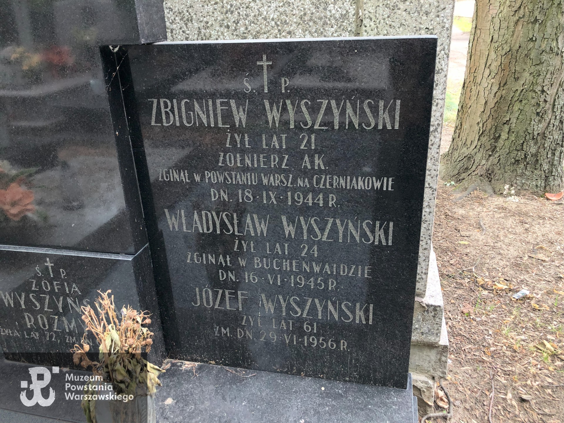 Źródło: Dorota Kotowska.