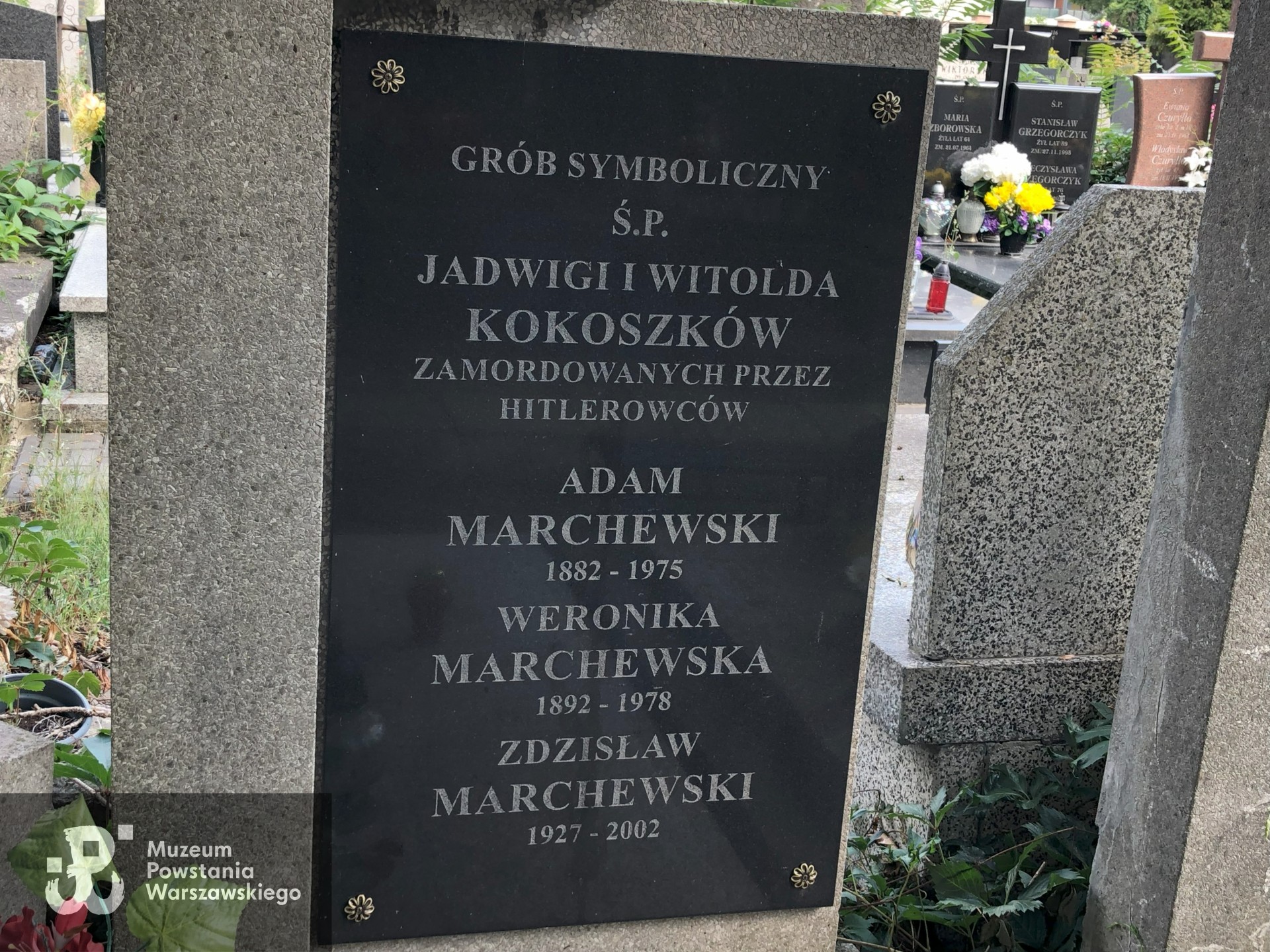 Źródło: Dorota Kotowska.