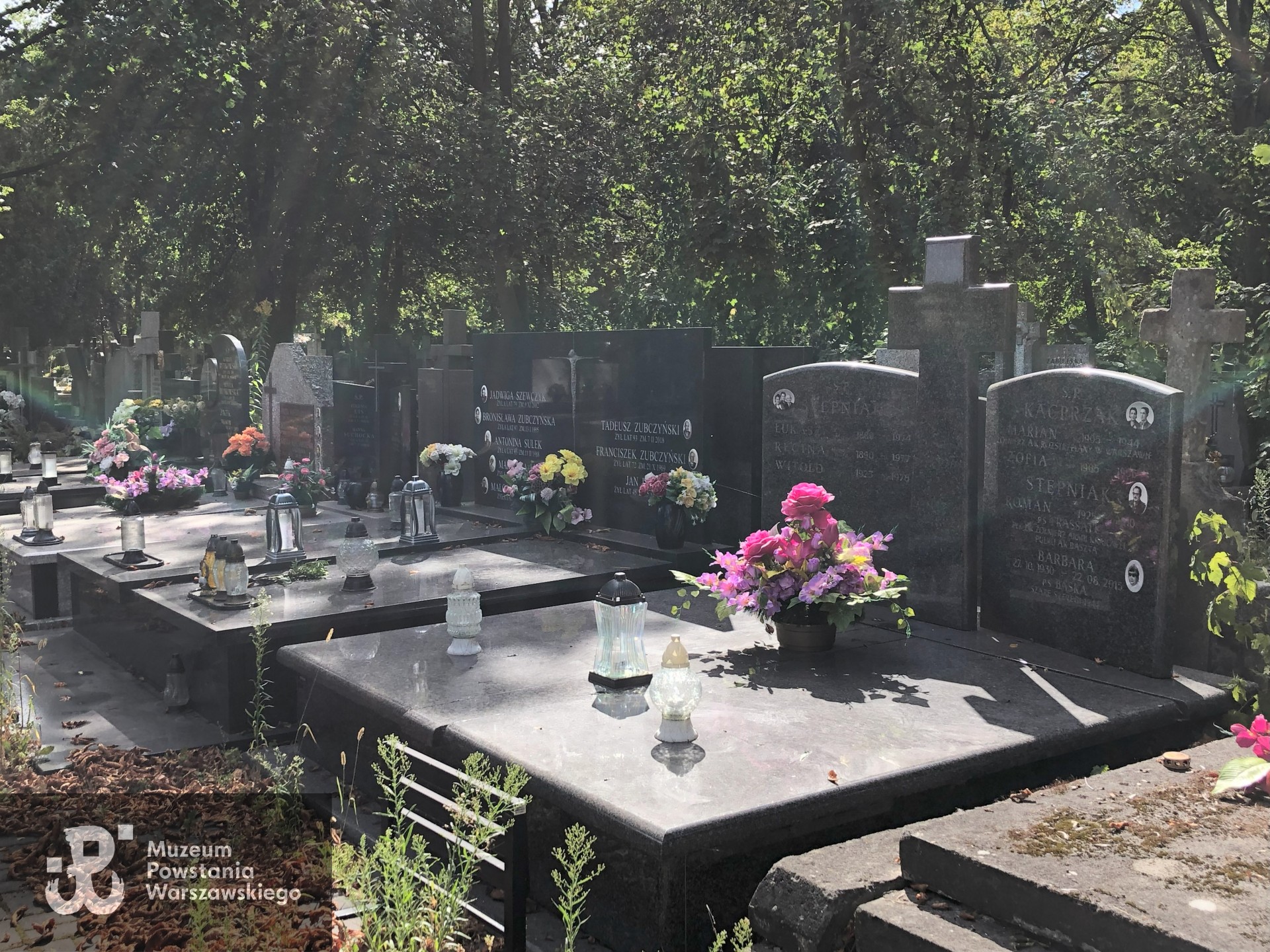 Źródło: Dorota Kotowska.