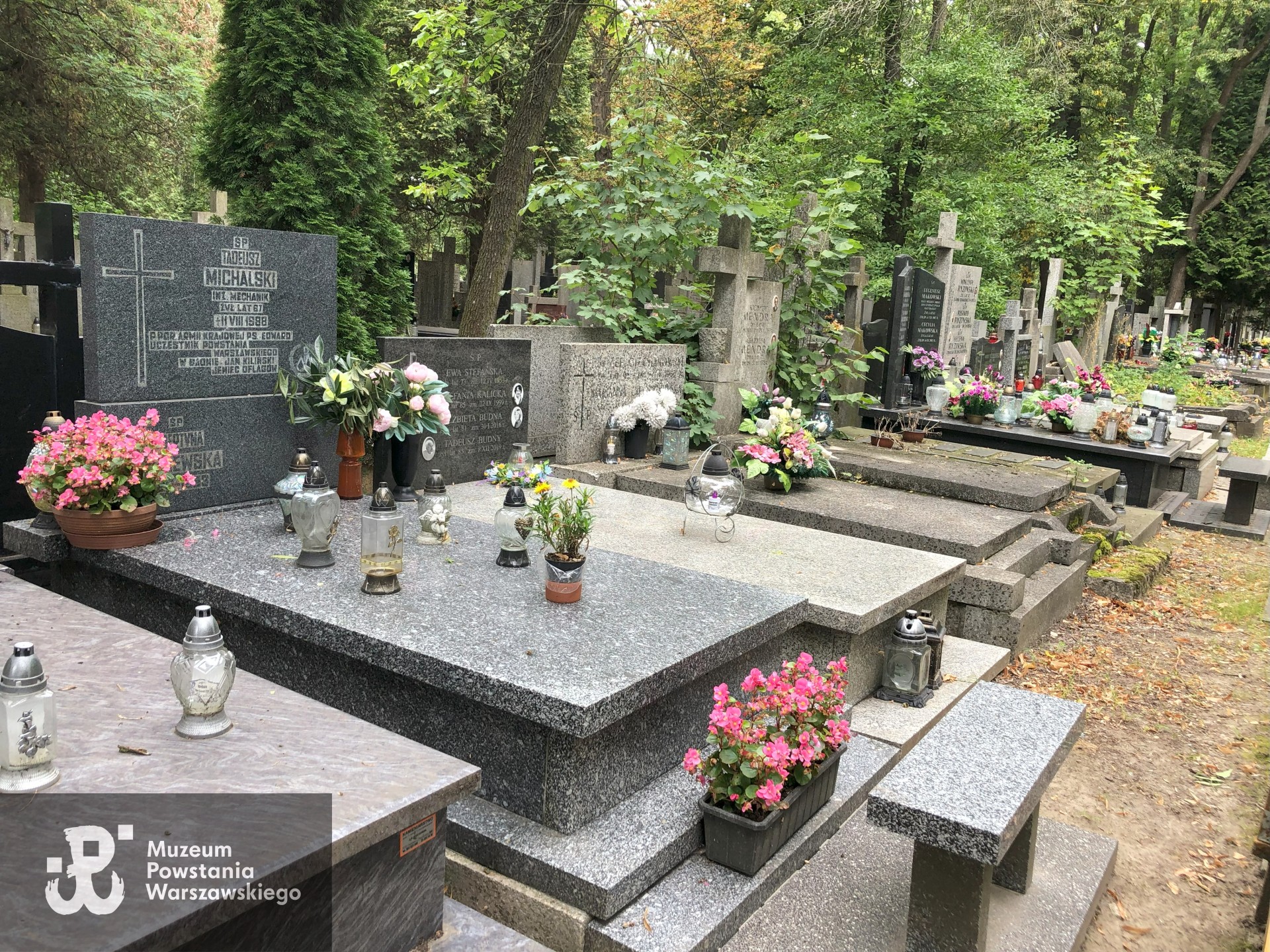 Źródło: Dorota Kotowska.