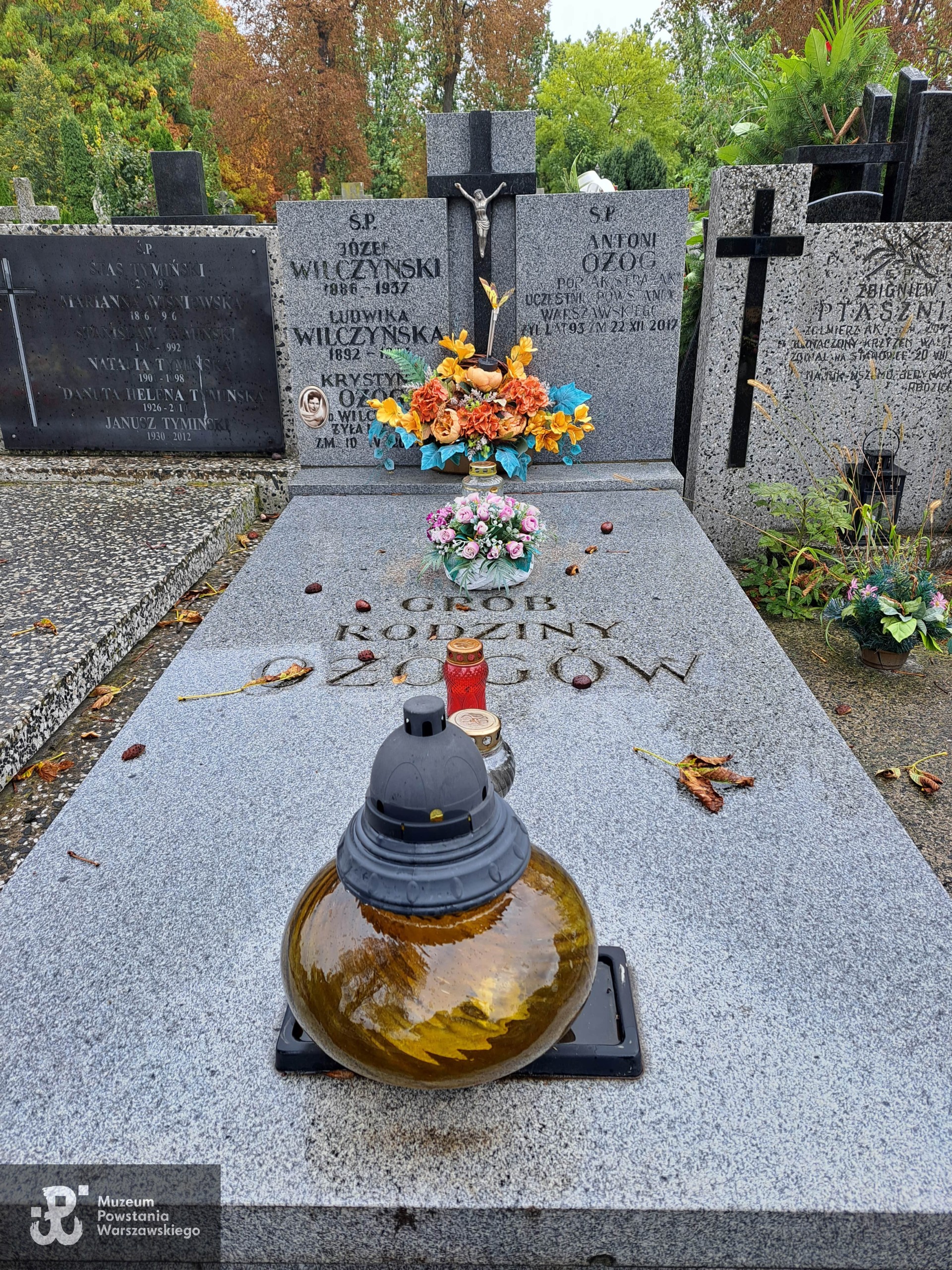 Źródło: Agnieszka Nowak.