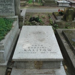 Źródlo: https://cmentarze.um.warszawa.pl/pomnik.aspx?pom_id=44567 [dostęp: 1.10.2025].