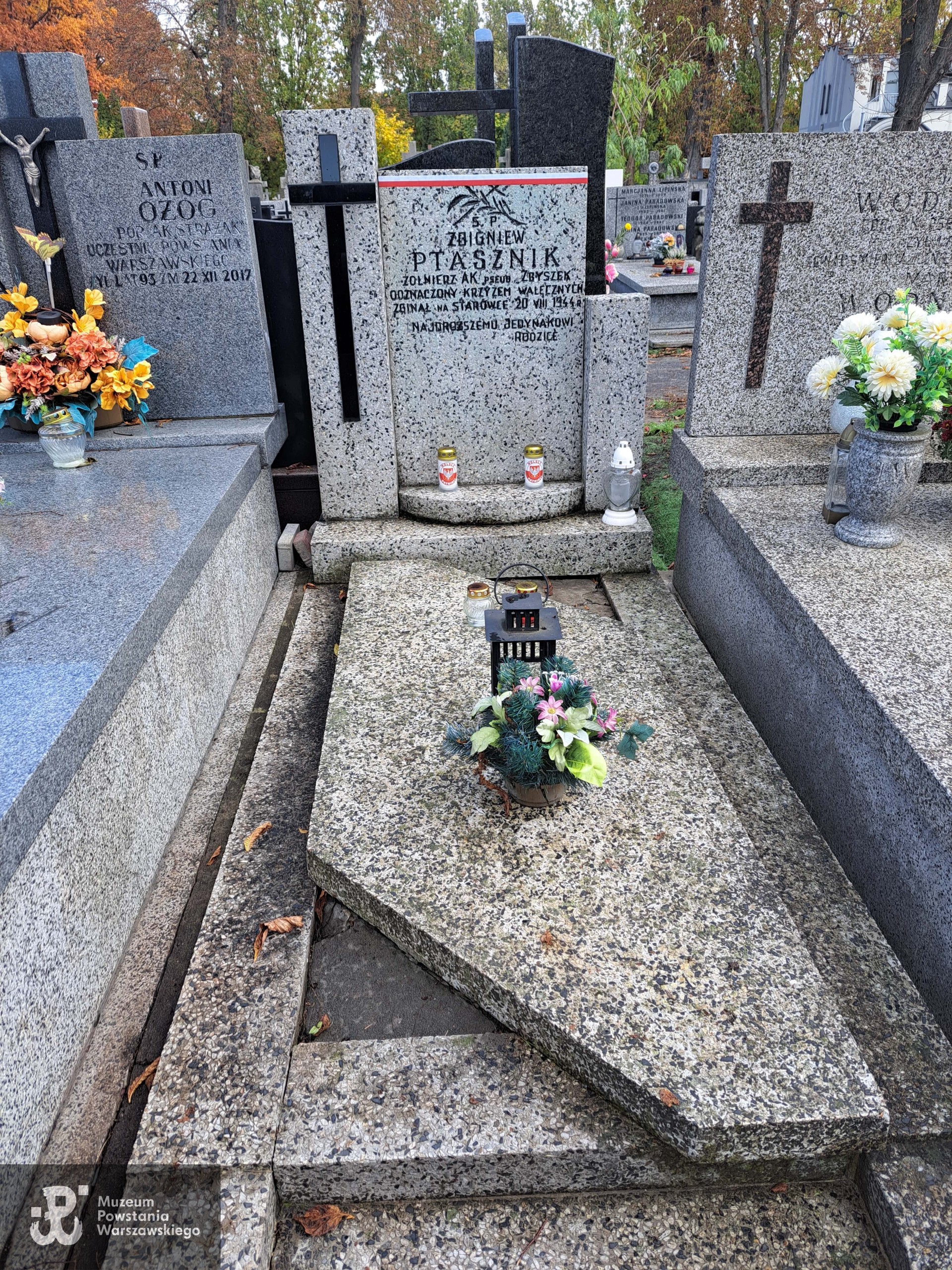 Źrodło: Agnieszka Nowak.