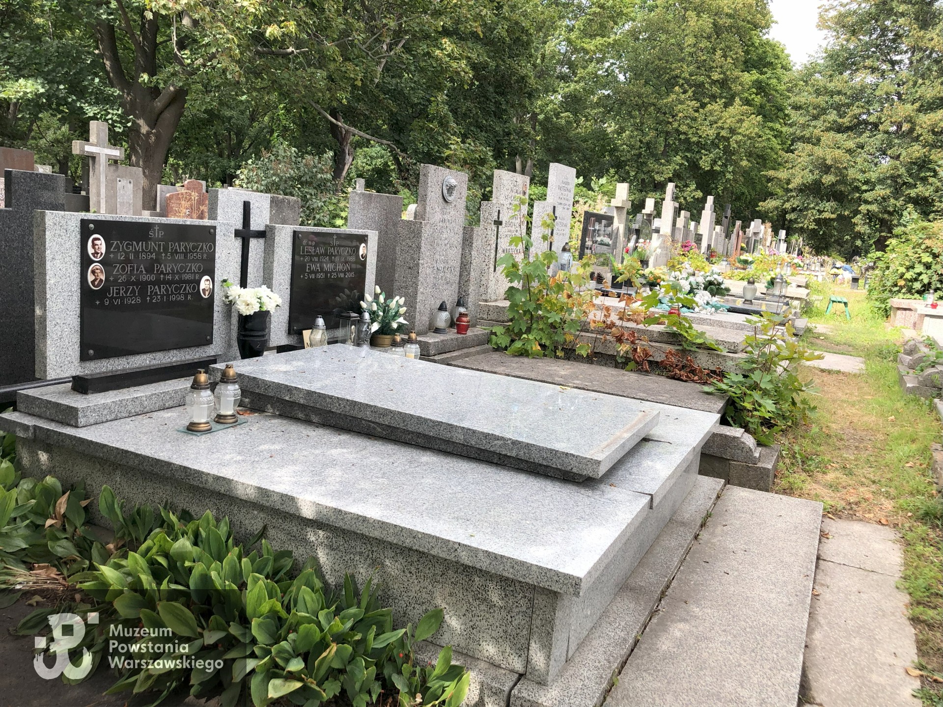 Źródło: Dorota Kotowska.