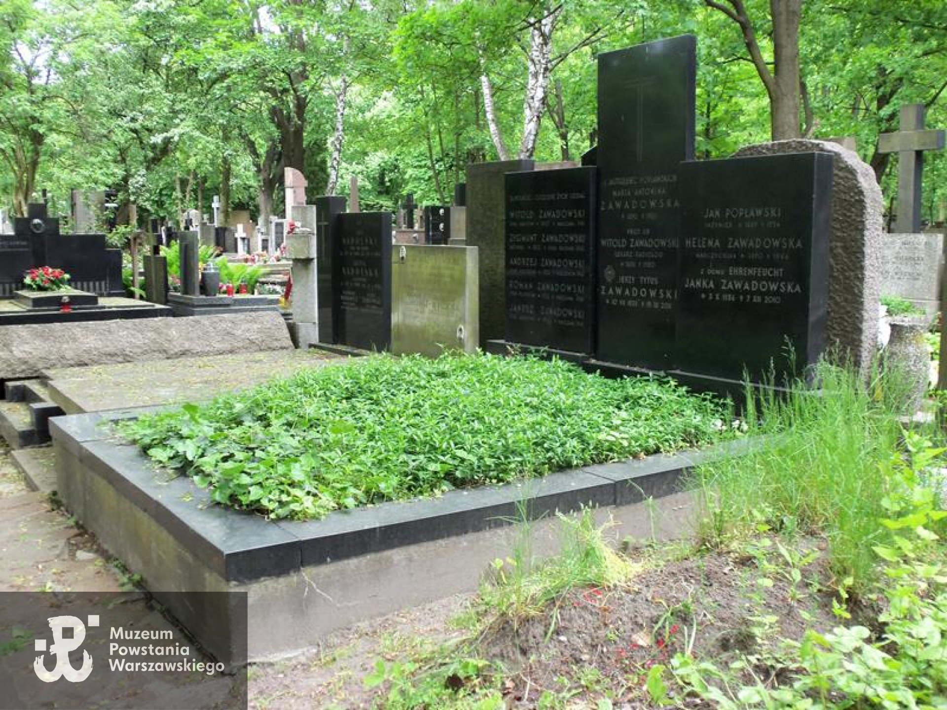 Źródło: https://cmentarze.um.warszawa.pl/pomnik.aspx?pom_id=39434 [dostęp: 9.04.2025].