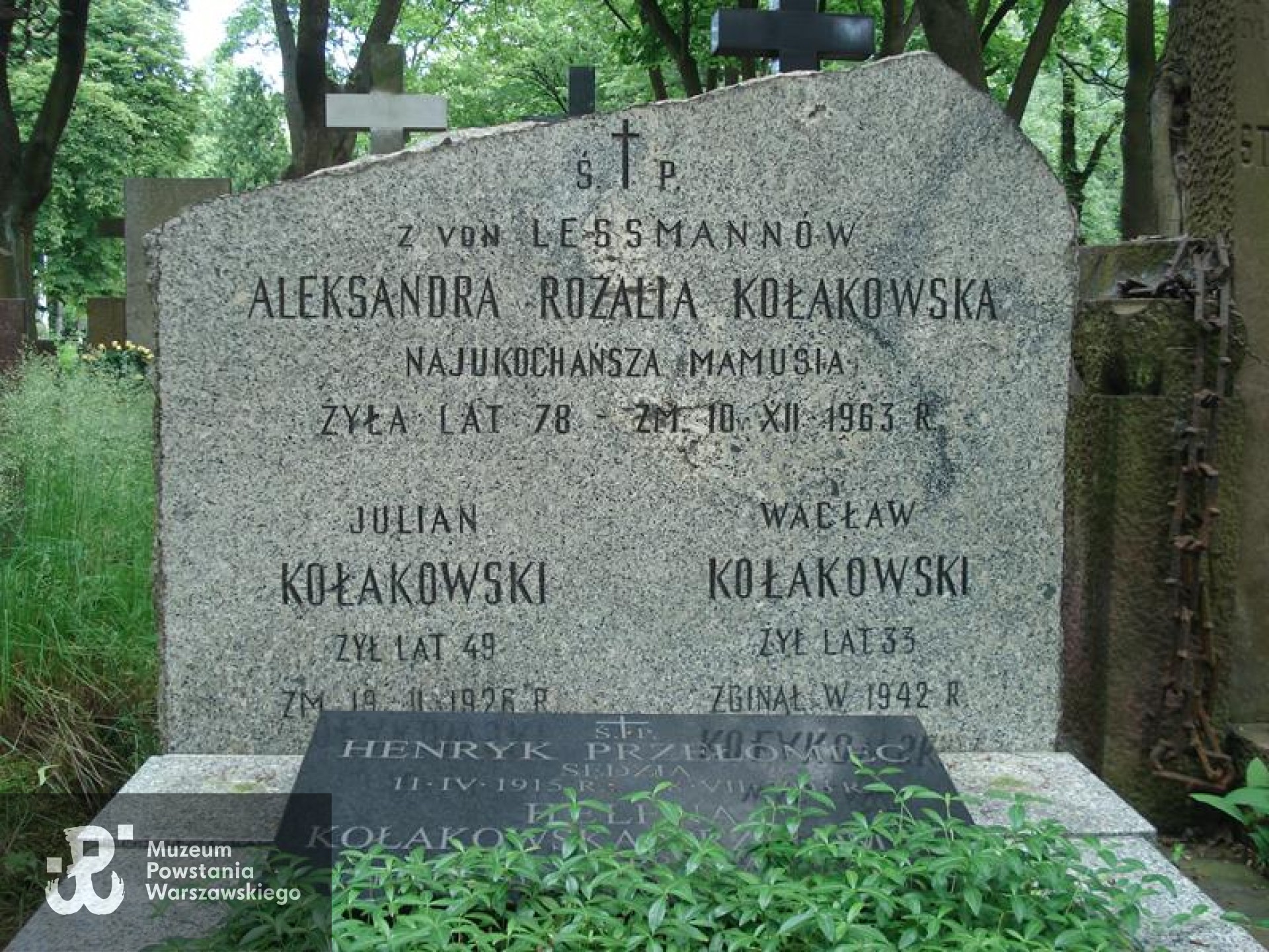 Źródło: https://cmentarze.um.warszawa.pl/pomnik.aspx?pom_id=42758 [dostęp: 9.04.2025].