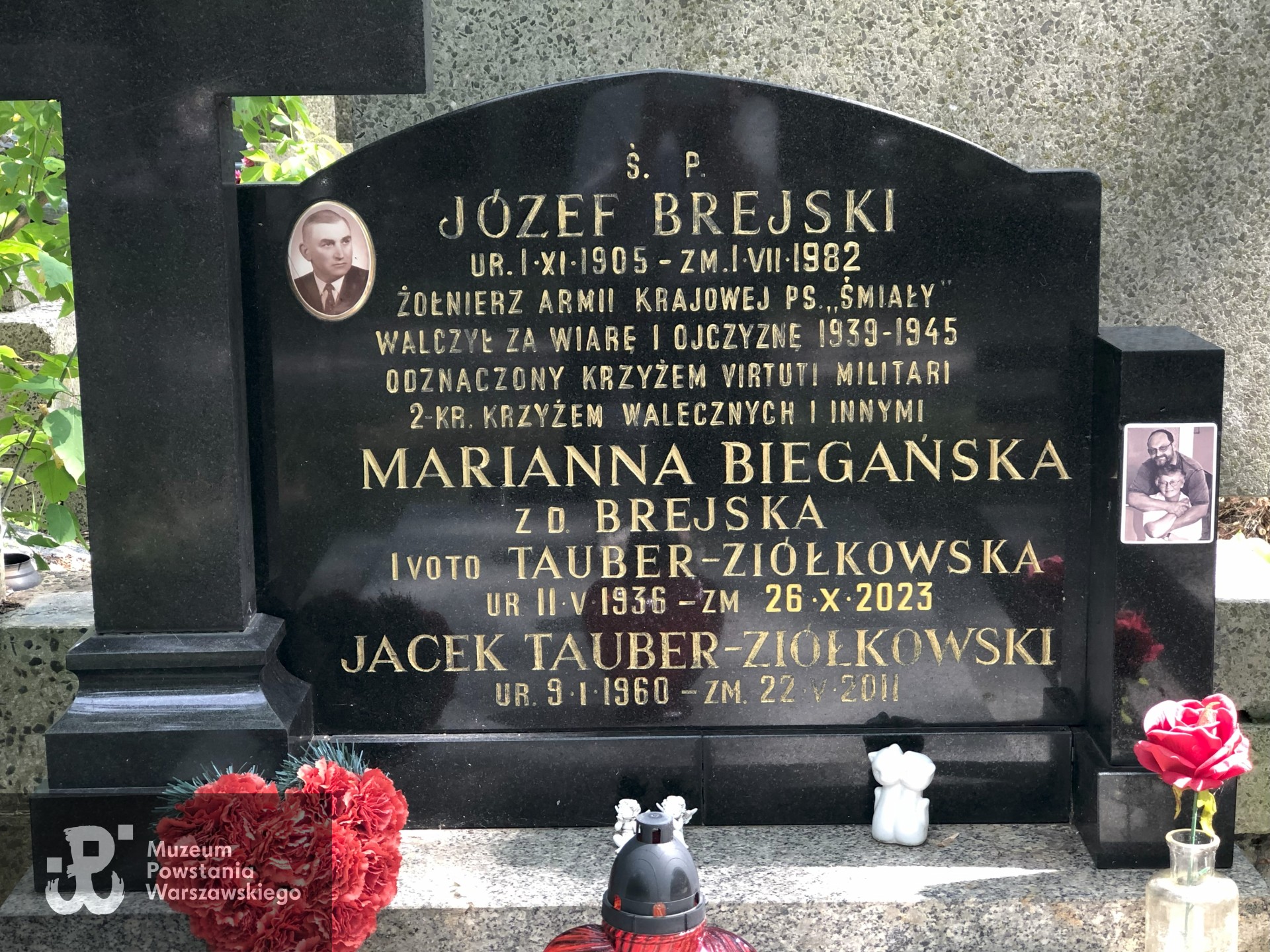 Źródło: Dorota Kotowska.