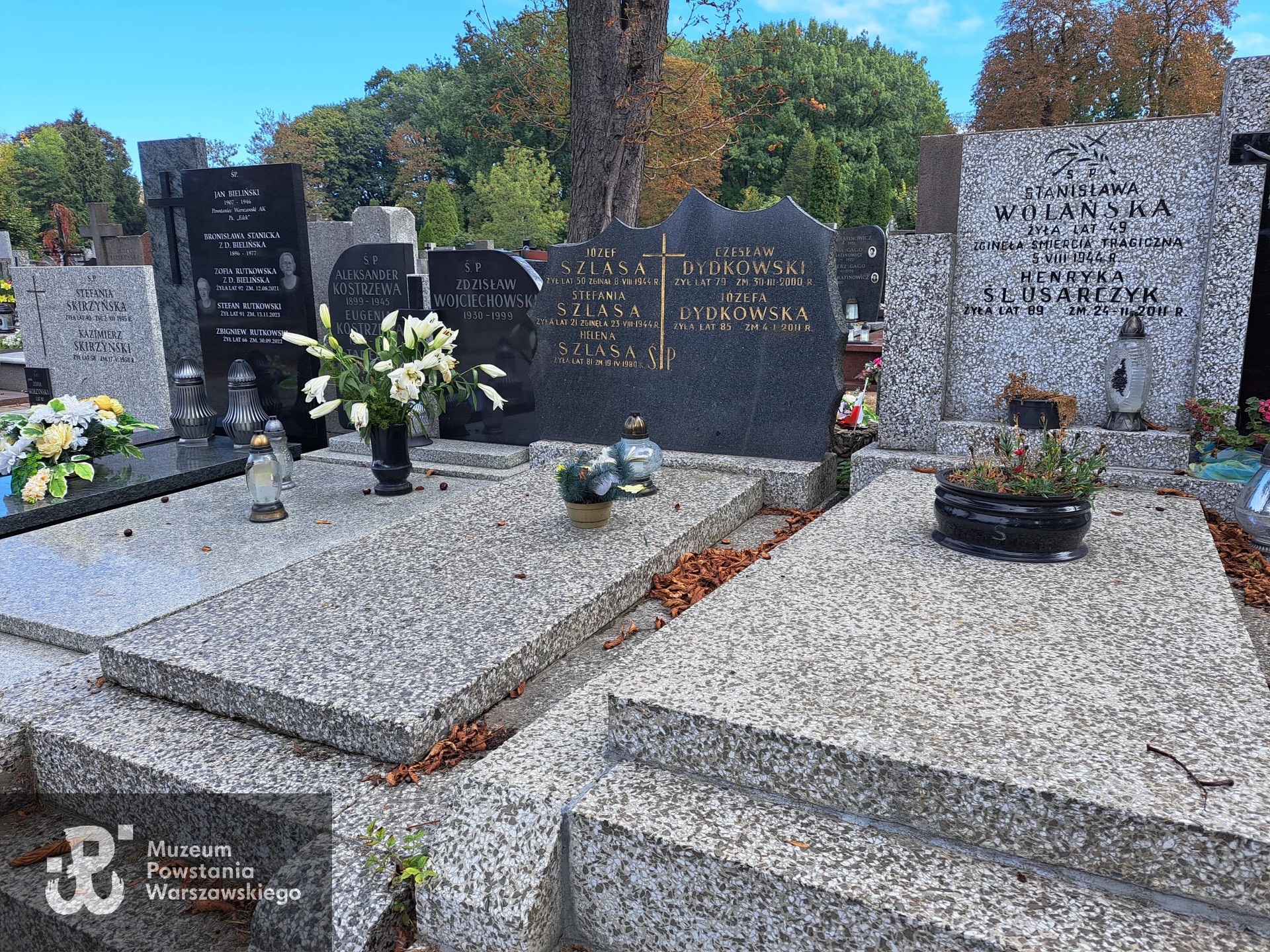 Źródło: Agnieszka Nowak.