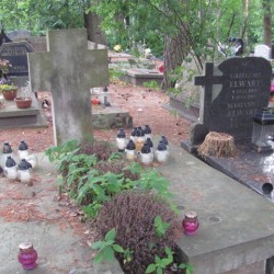 Źródło: https://sopotparafialny.grobonet.com/grobonet/start.php?id=detale&idg=6782&inni=0&cinki=0 [dostęp: 12.09.2025].