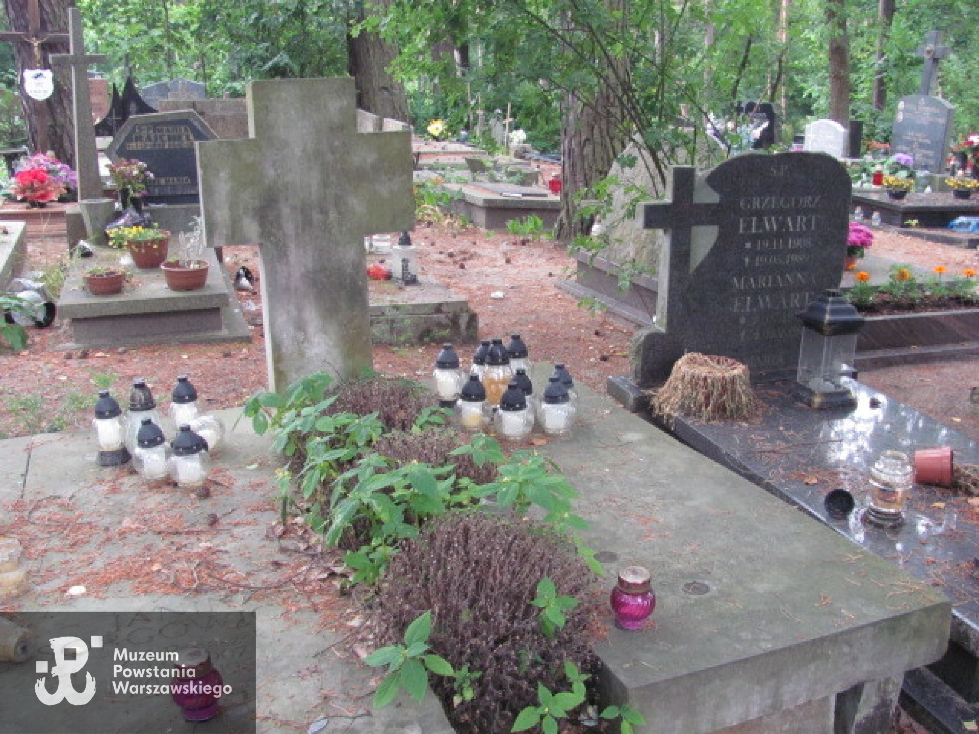 Źródło: https://sopotparafialny.grobonet.com/grobonet/start.php?id=detale&idg=6782&inni=0&cinki=0 [dostęp: 12.09.2025].