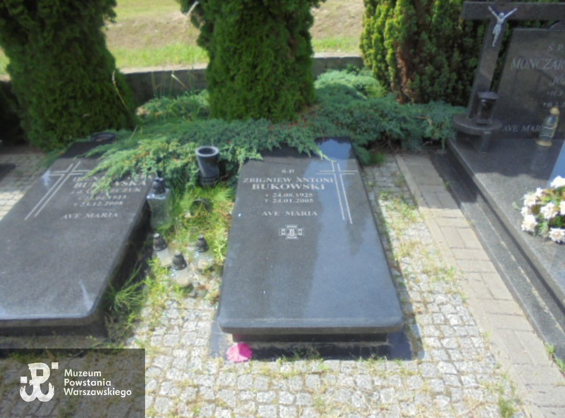 Źródło: https://elblag.grobonet.com/grobonet/start.php?id=detale&idg=5130193 [dostęp: 24.06.2025].