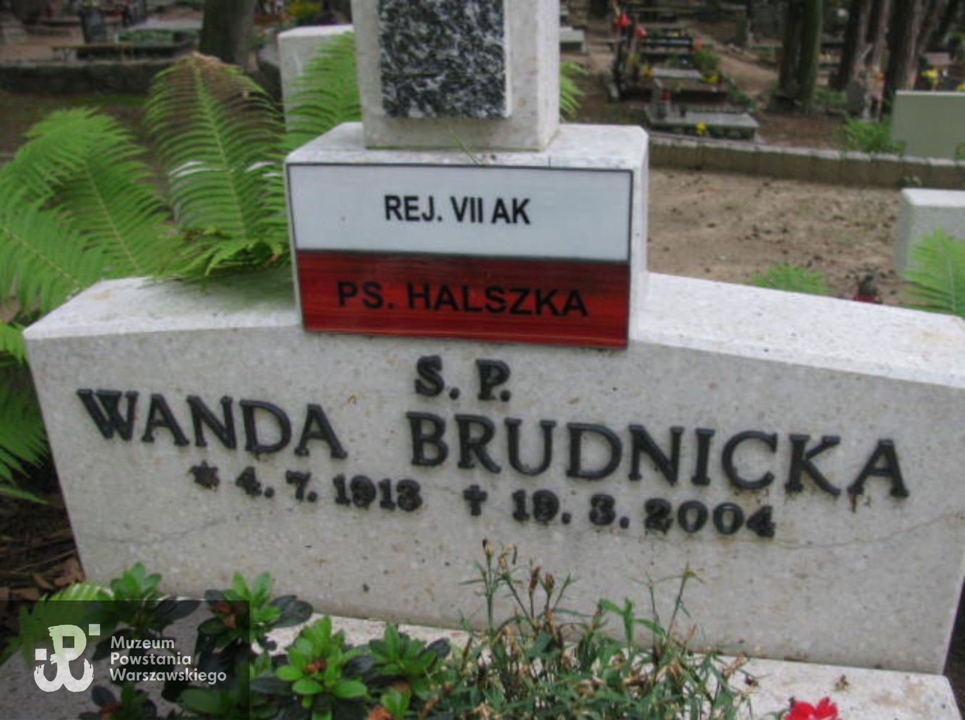 Źródło: https://sopot.grobonet.com/grobonet/start.php?id=detale&idg=17237 [dostęp: 10.06.2025].