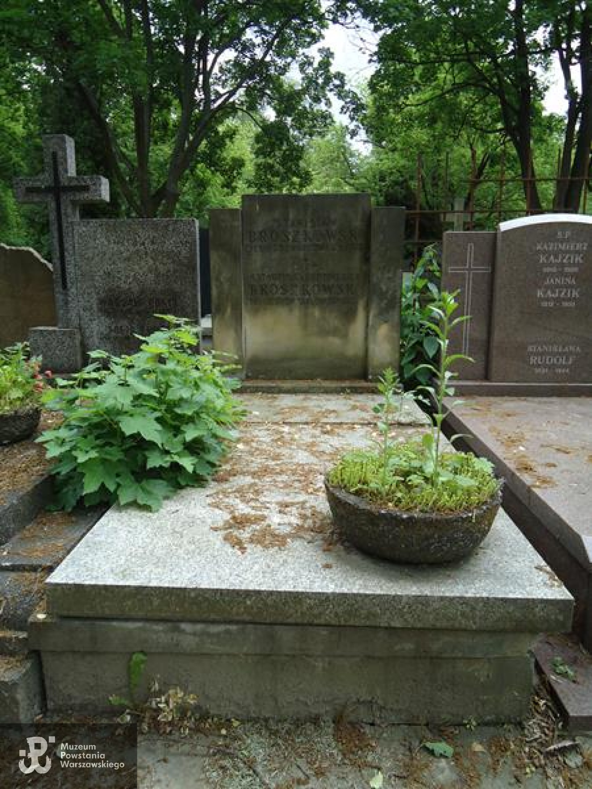 Źródło: https://cmentarze.um.warszawa.pl/pomnik.aspx?pom_id=43618 [dostęp: 09.06.2025].