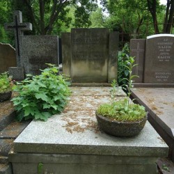 Źródło: https://cmentarze.um.warszawa.pl/pomnik.aspx?pom_id=43618 [dostęp: 09.06.2025].