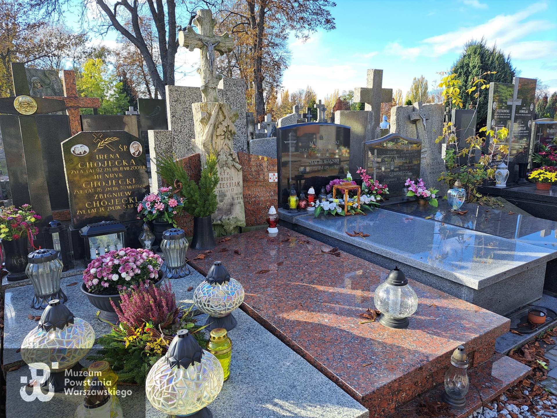 Źródło: Agnieszka Nowak.