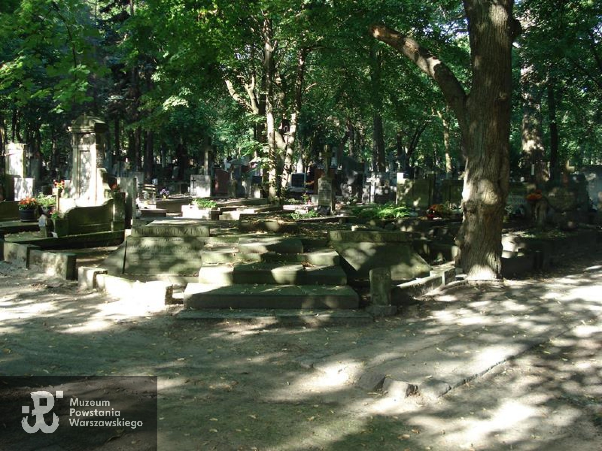 Źródło: https://cmentarze.um.warszawa.pl/pomnik.aspx?pom_id=45505 [dostęp: 26.06.2026].