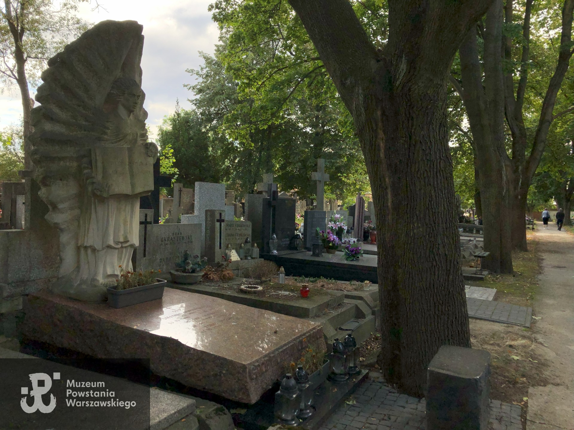 Źródło: Dorota Kotowska.