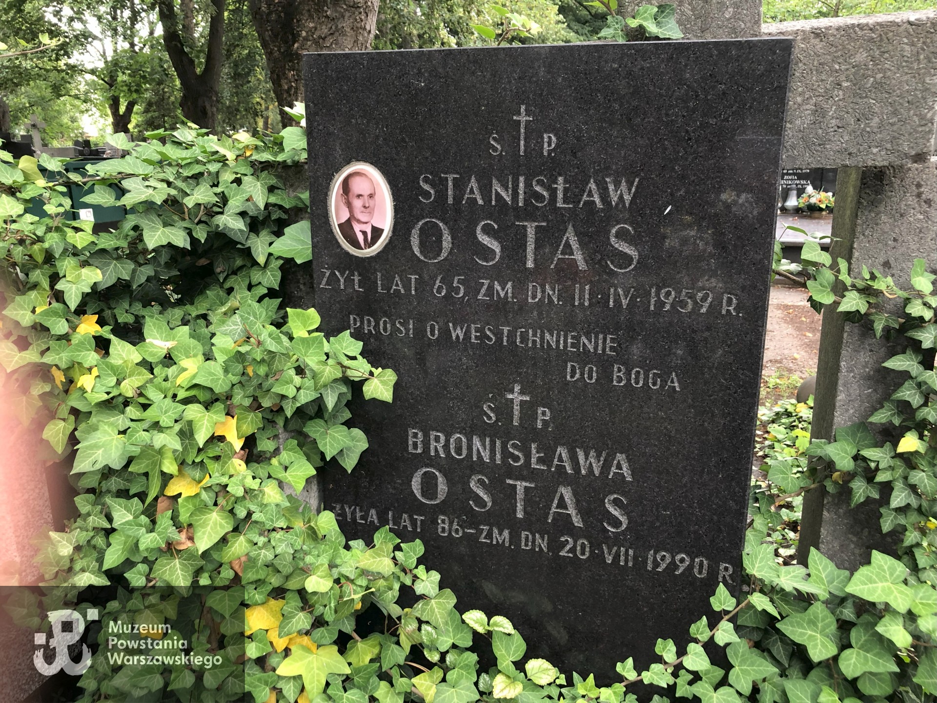 Źródło: Dorota Kotowska.