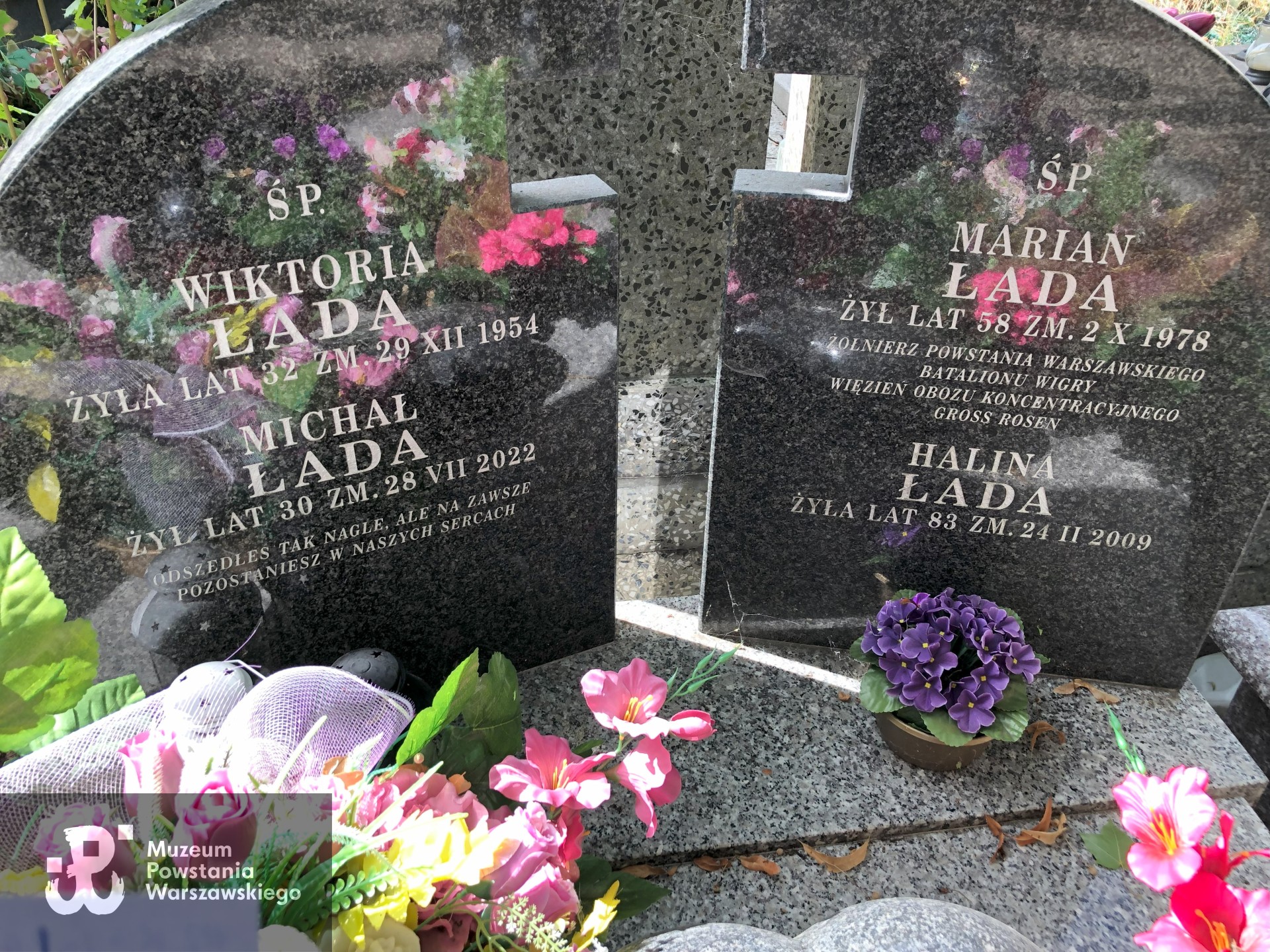 Źródło: Dorota Kotowska.