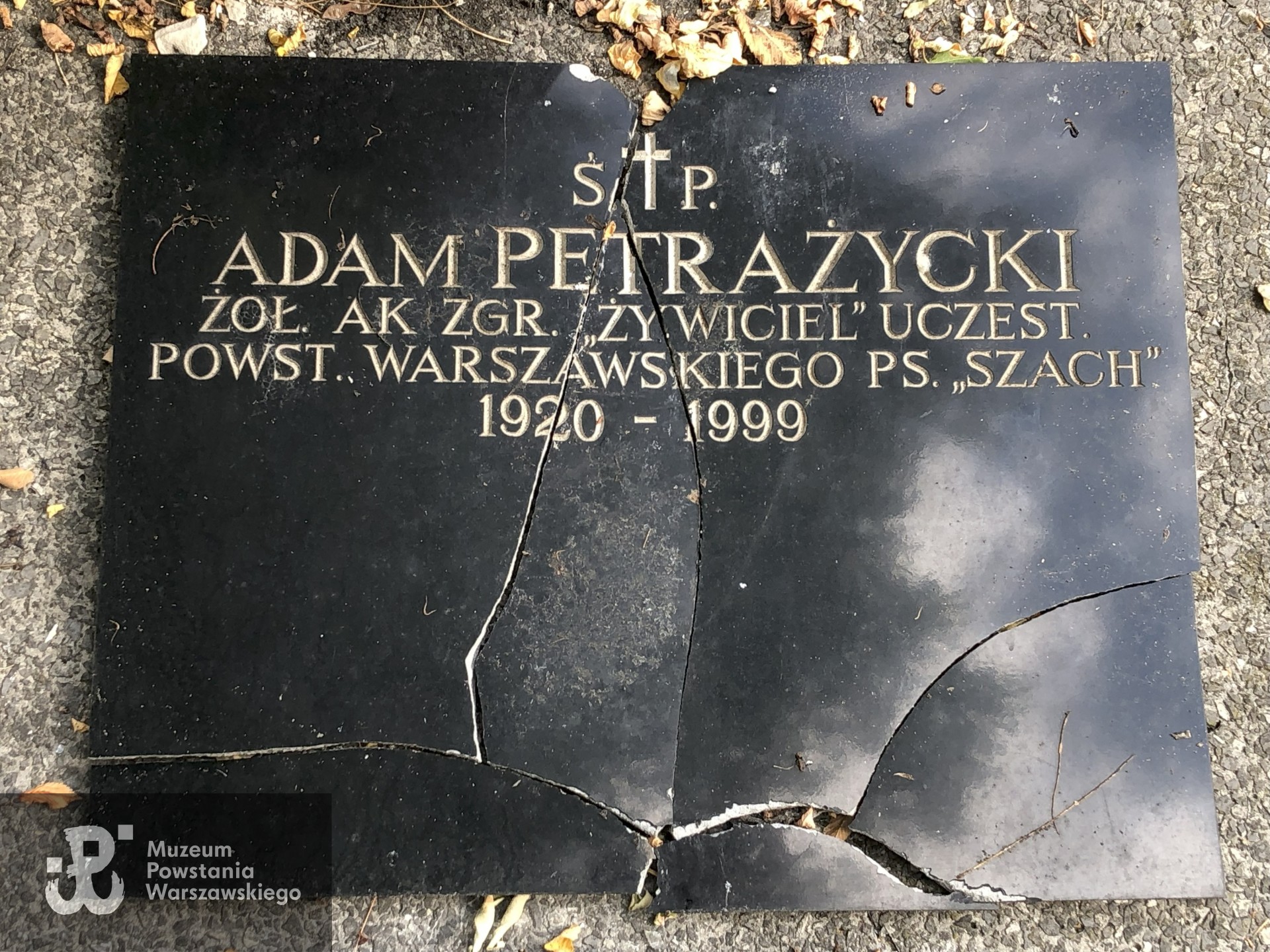 Źródło: Dorota Kotowska.