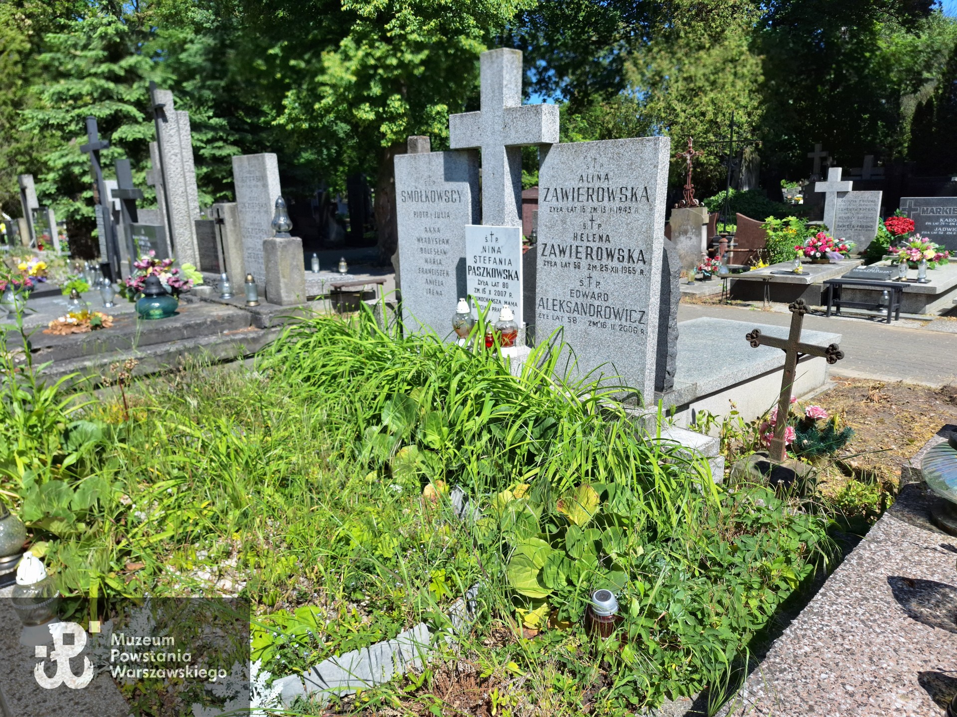 Źródło: VIII Liceum Ogólnokształcące im. Władysława IV w Warszawie.