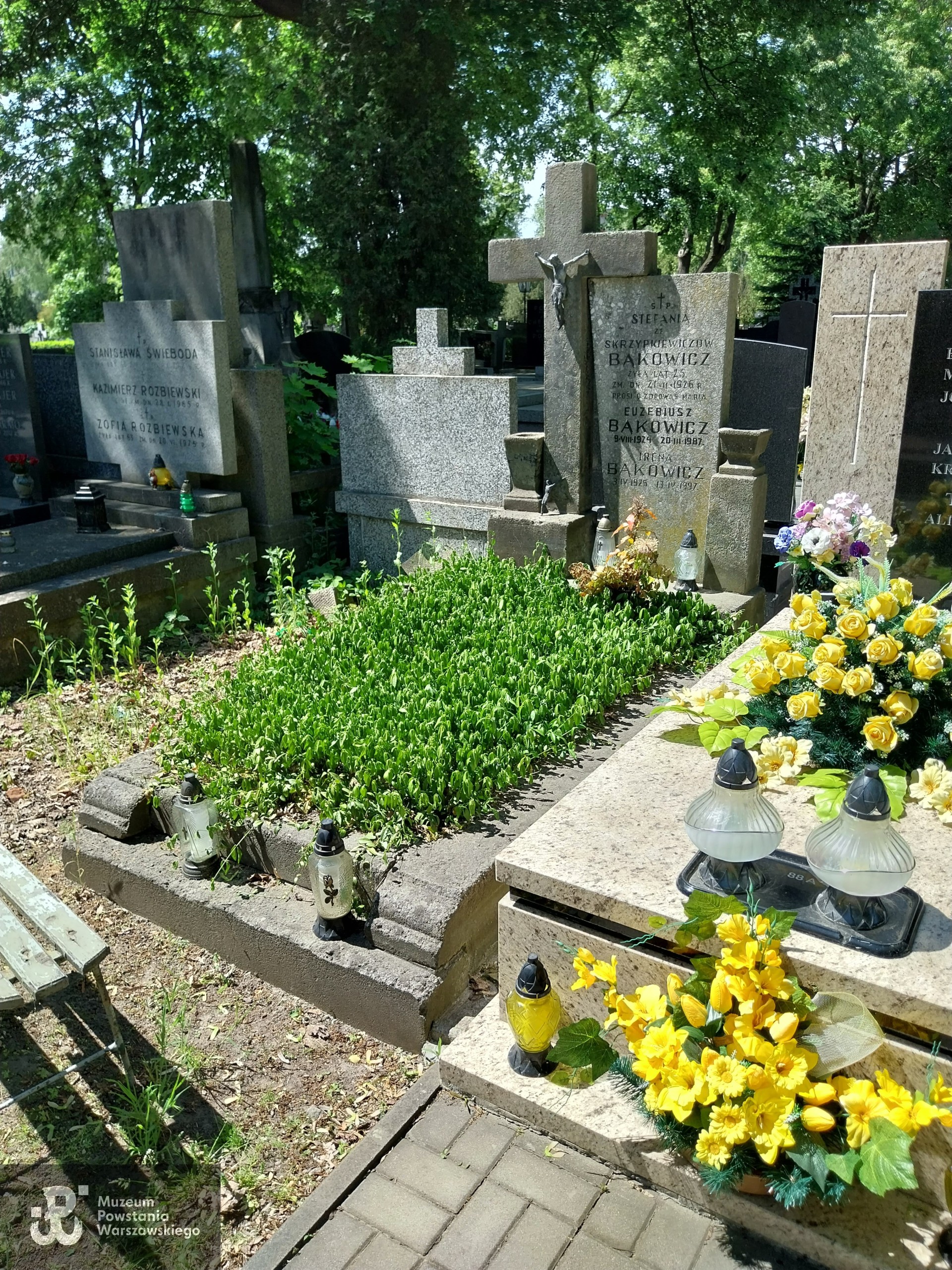 Źródło: VIII Liceum Ogólnokształcące im. Władysława IV w Warszawie.
