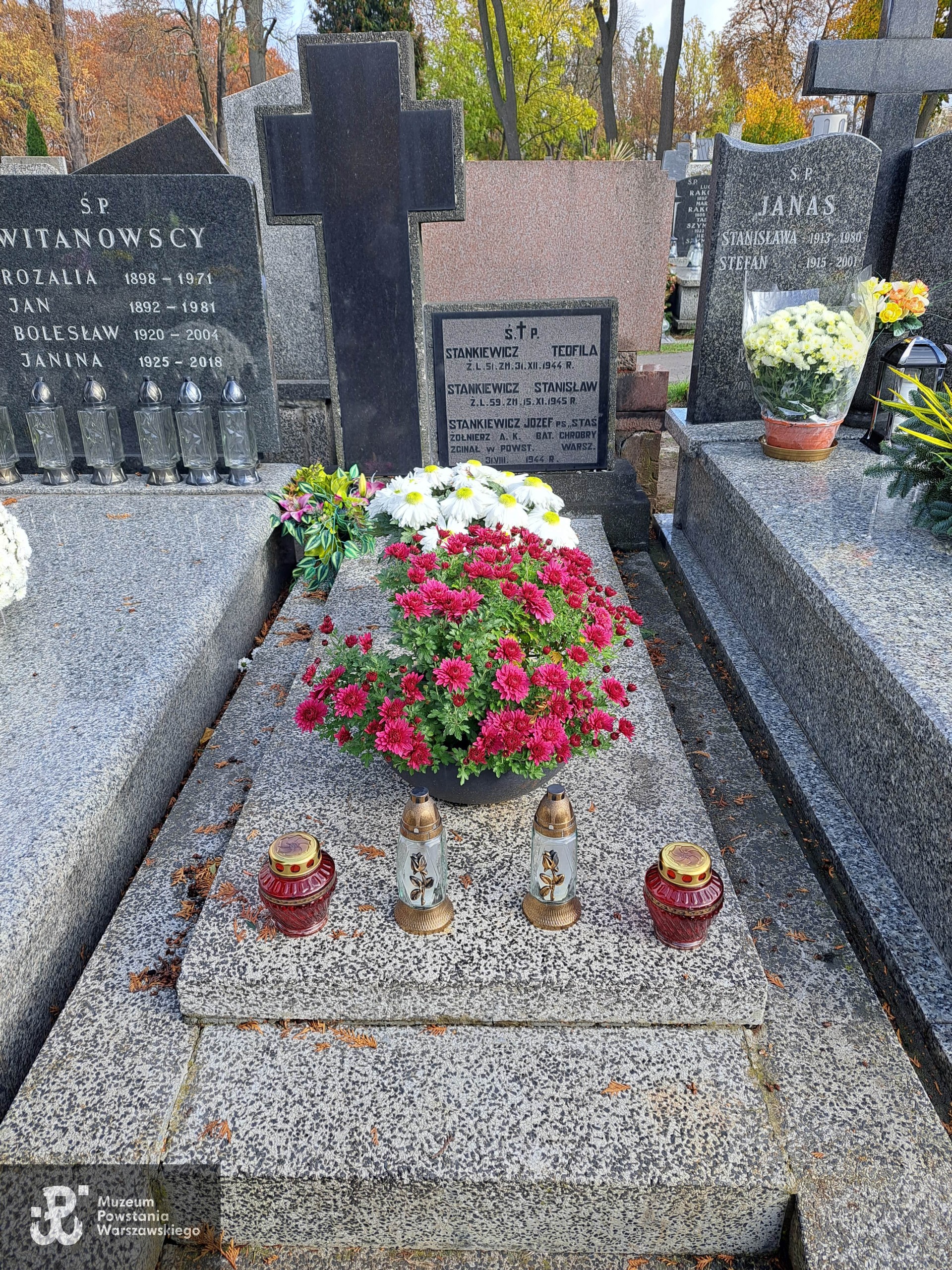 Źródło: Agnieszka Nowak.