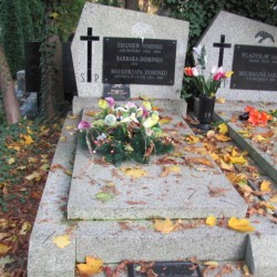 Źródło: https://wawamlynarska.grobonet.com/grobonet/start.php?id=detale&idg=1988&inni=0&cinki=0 [dostęp: 12.11.2025].