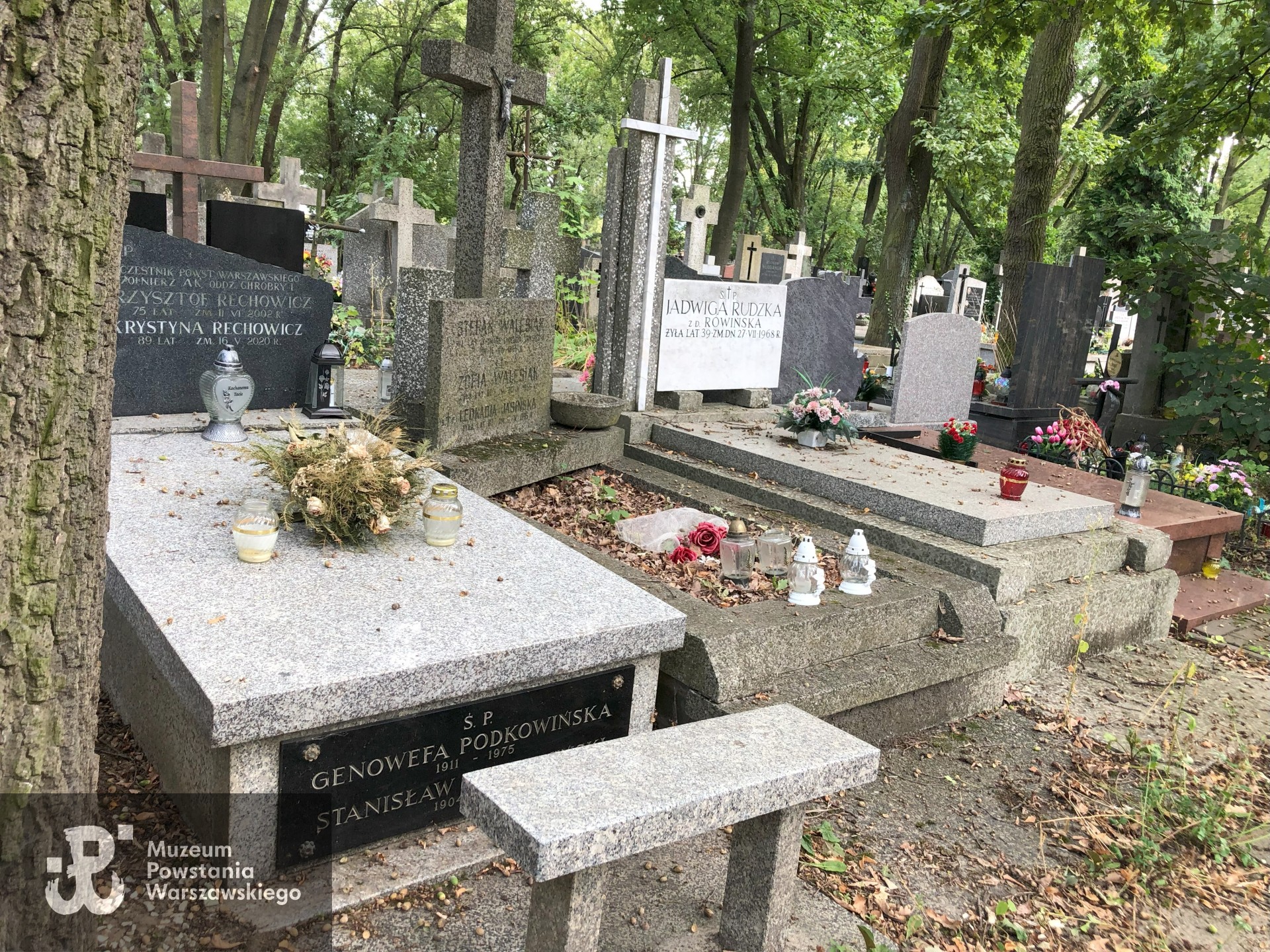 Źródło: Dorota Kotowska.