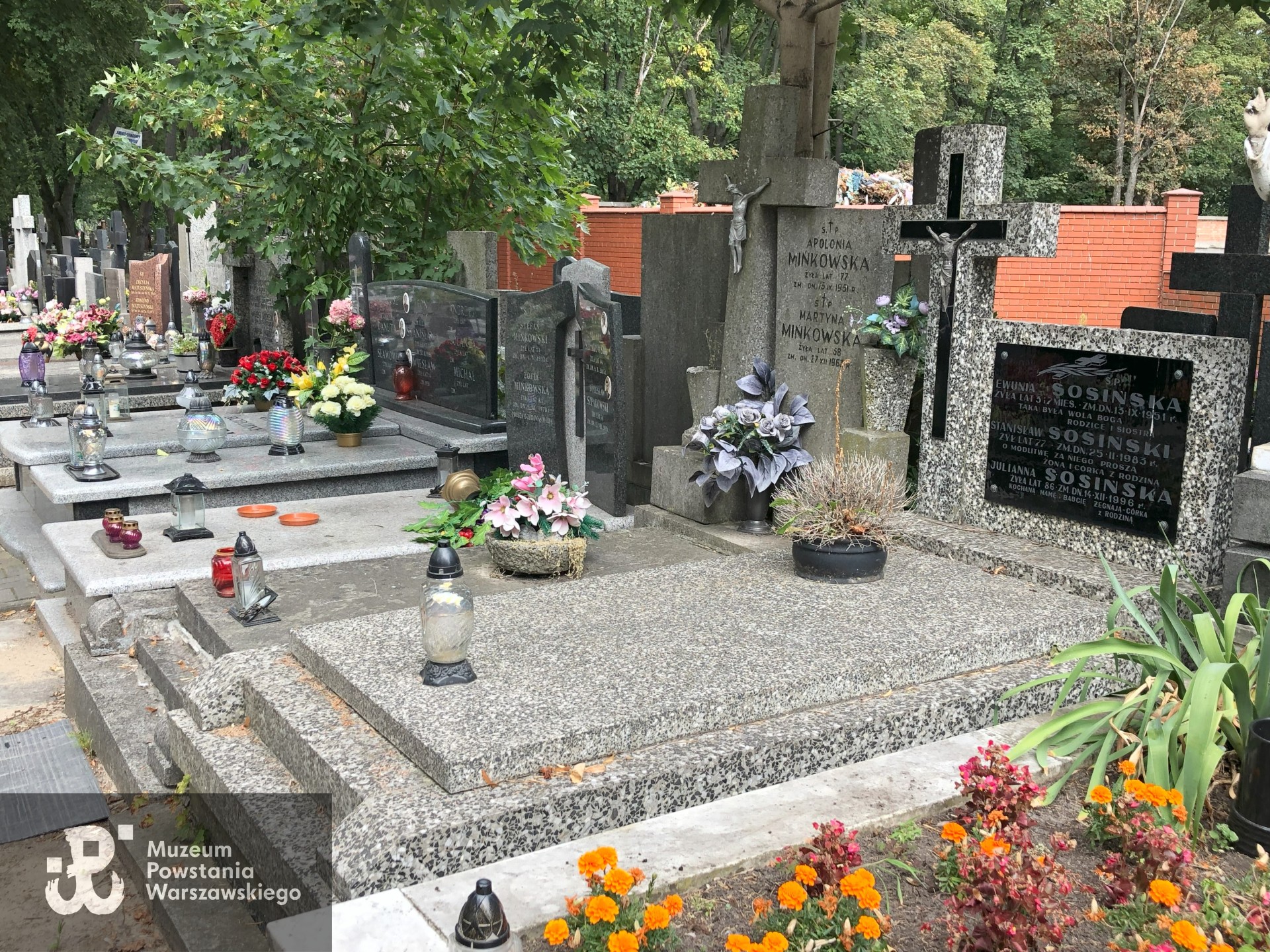 Źródło: Dorota Kotowska.