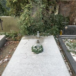 Grób na Cmentarzu Ewangelicko-Augsburskim w Warszawie.