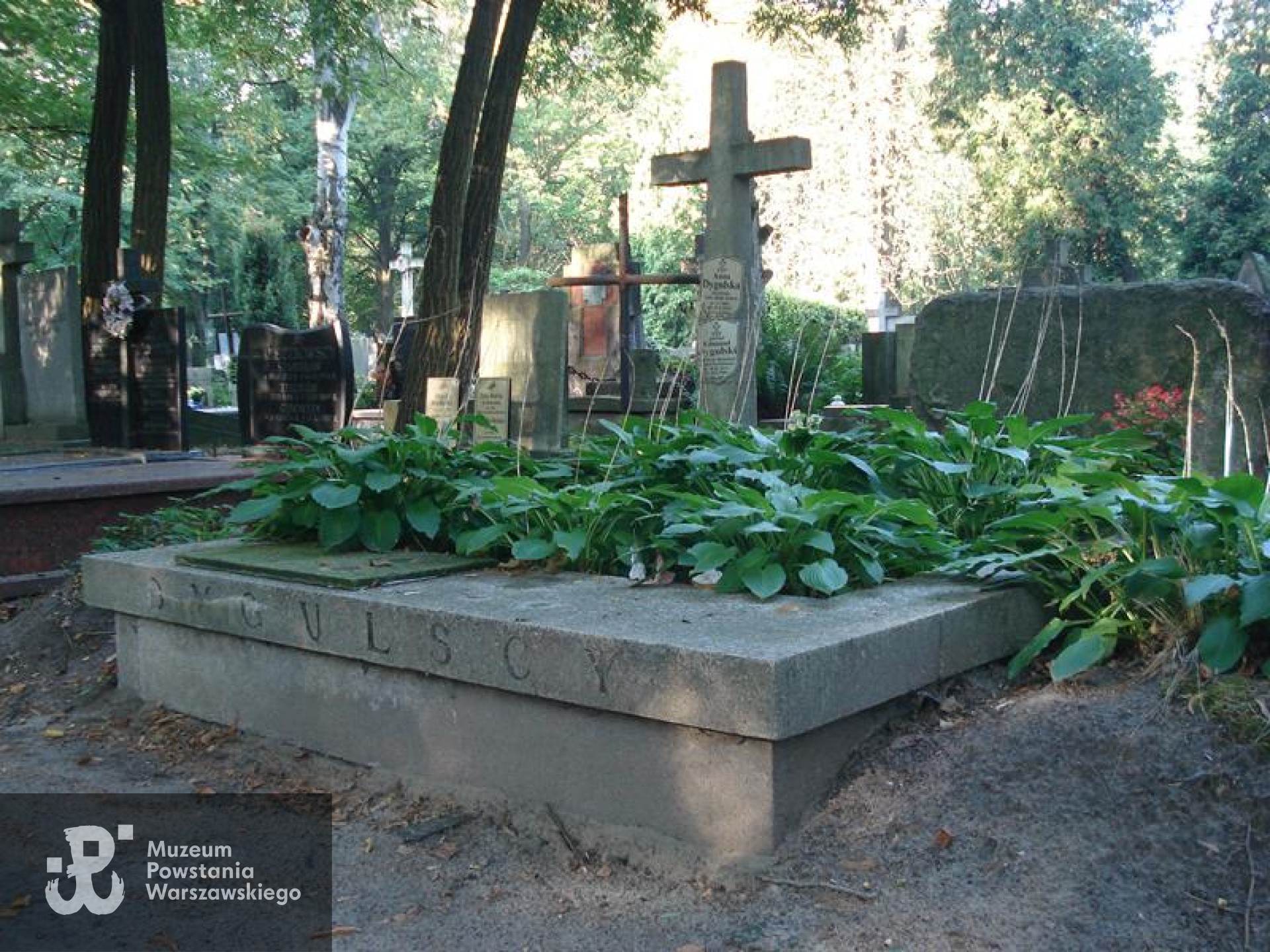 Źródło: https://cmentarze.um.warszawa.pl/pomnik.aspx?pom_id=42141 [dostęp: 14.11.2025].