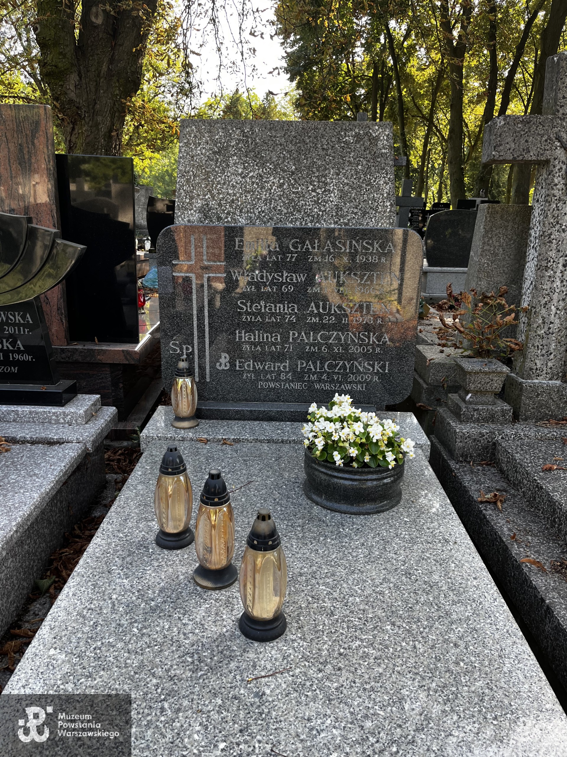 Źródło: Zespół Szkół nr 14 w Warszawie.