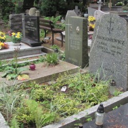 Źródło: https://sopotparafialny.grobonet.com/grobonet/start.php?id=detale&idg=16265 [dostęp: 14.11.2025].