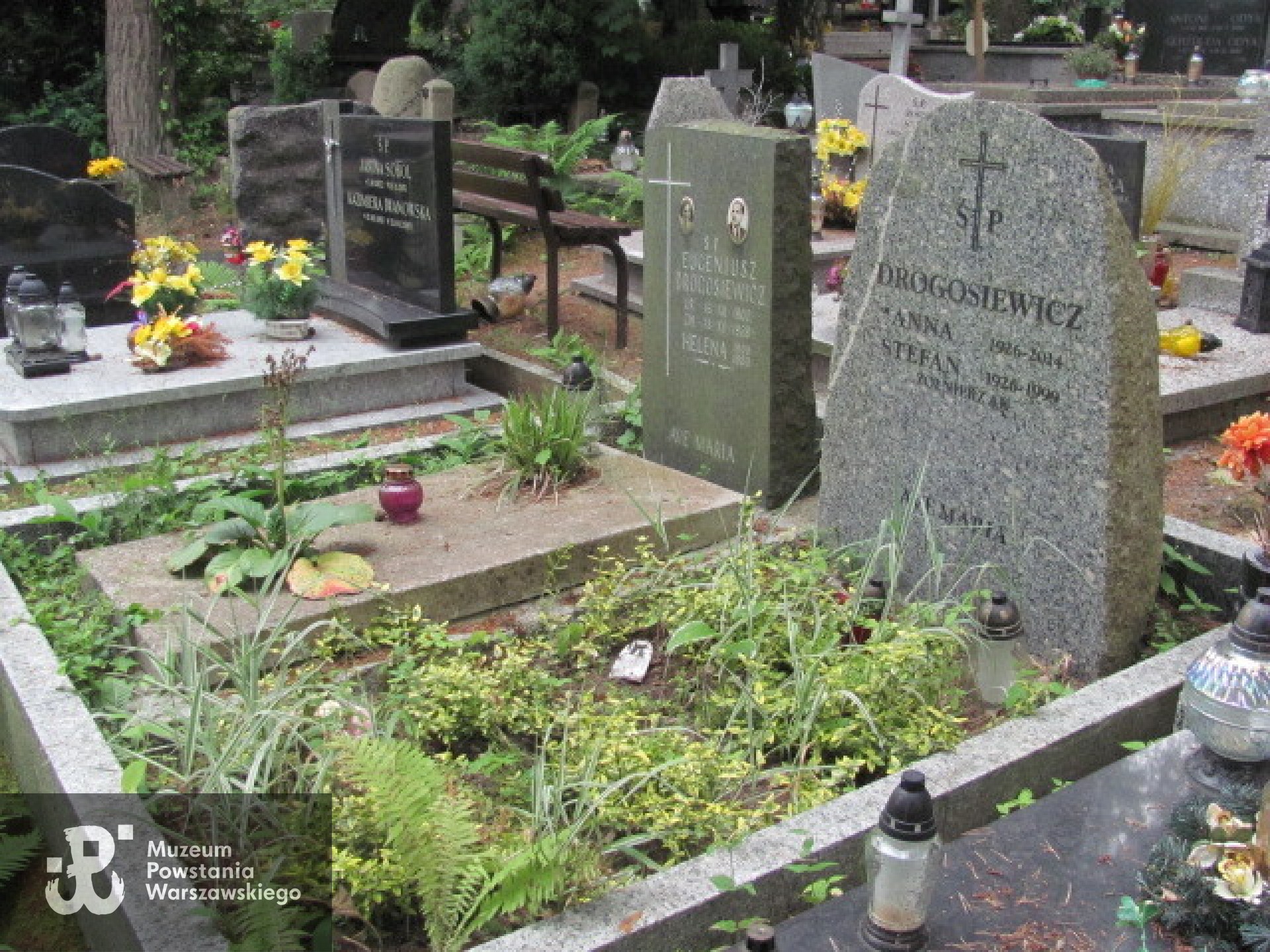 Źródło: https://sopotparafialny.grobonet.com/grobonet/start.php?id=detale&idg=16265 [dostęp: 14.11.2025].