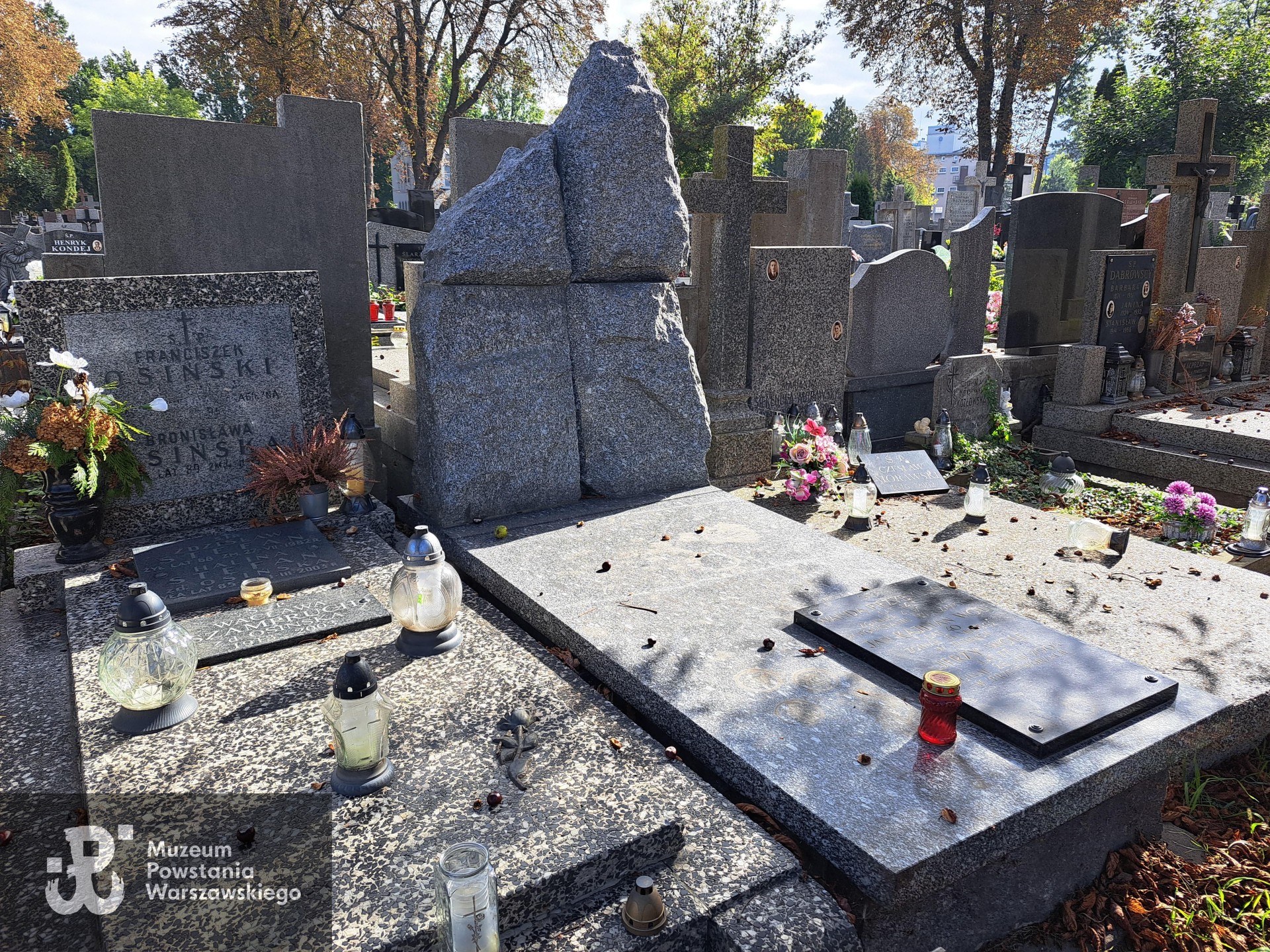 Źródło: Agnieszka Nowak.