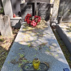 Źródło: VIII Liceum Ogólnokształcące im. Władysława IV w Warszawie.